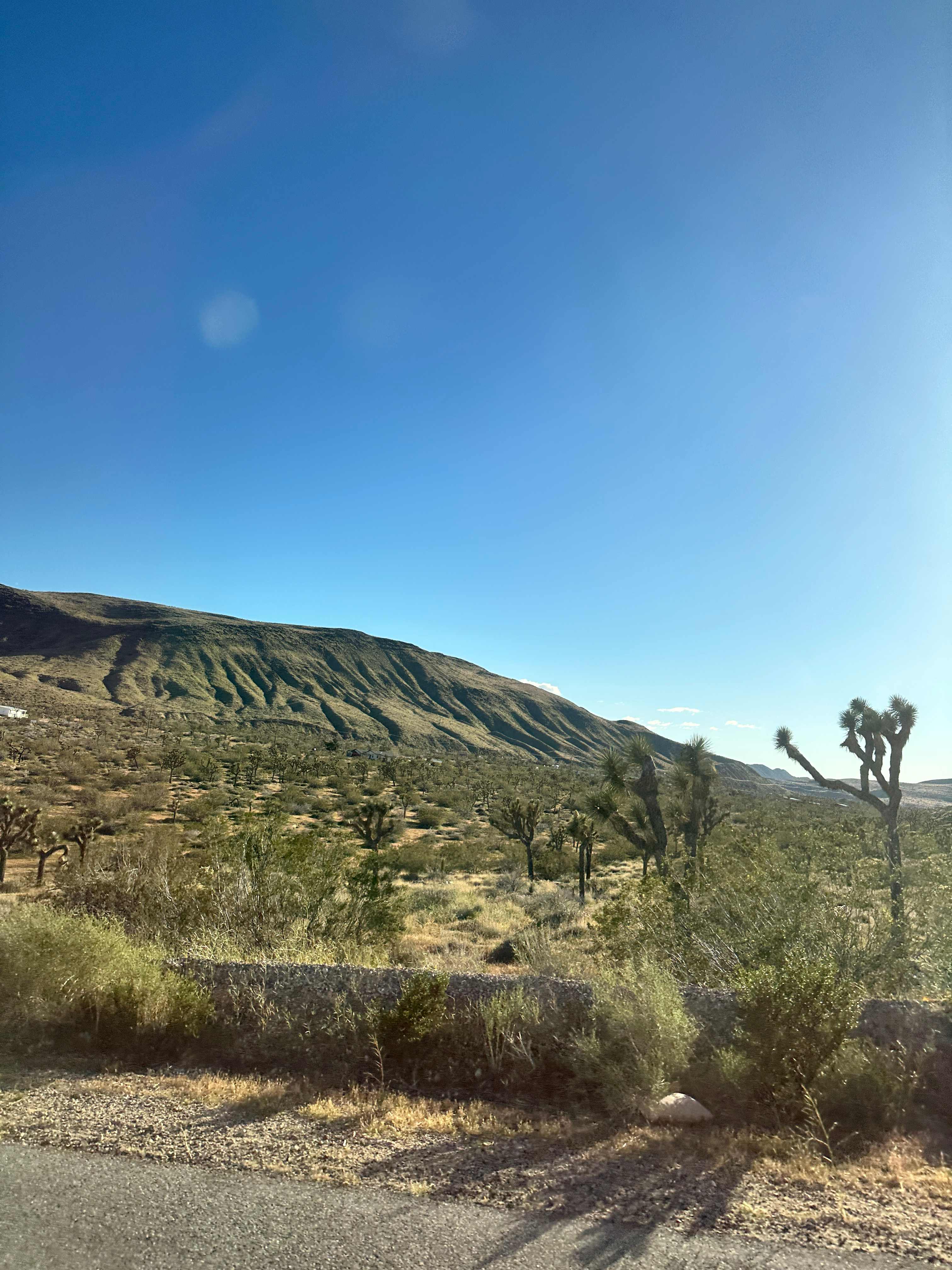 Tranquil Joshua Tree Getaway 🔭