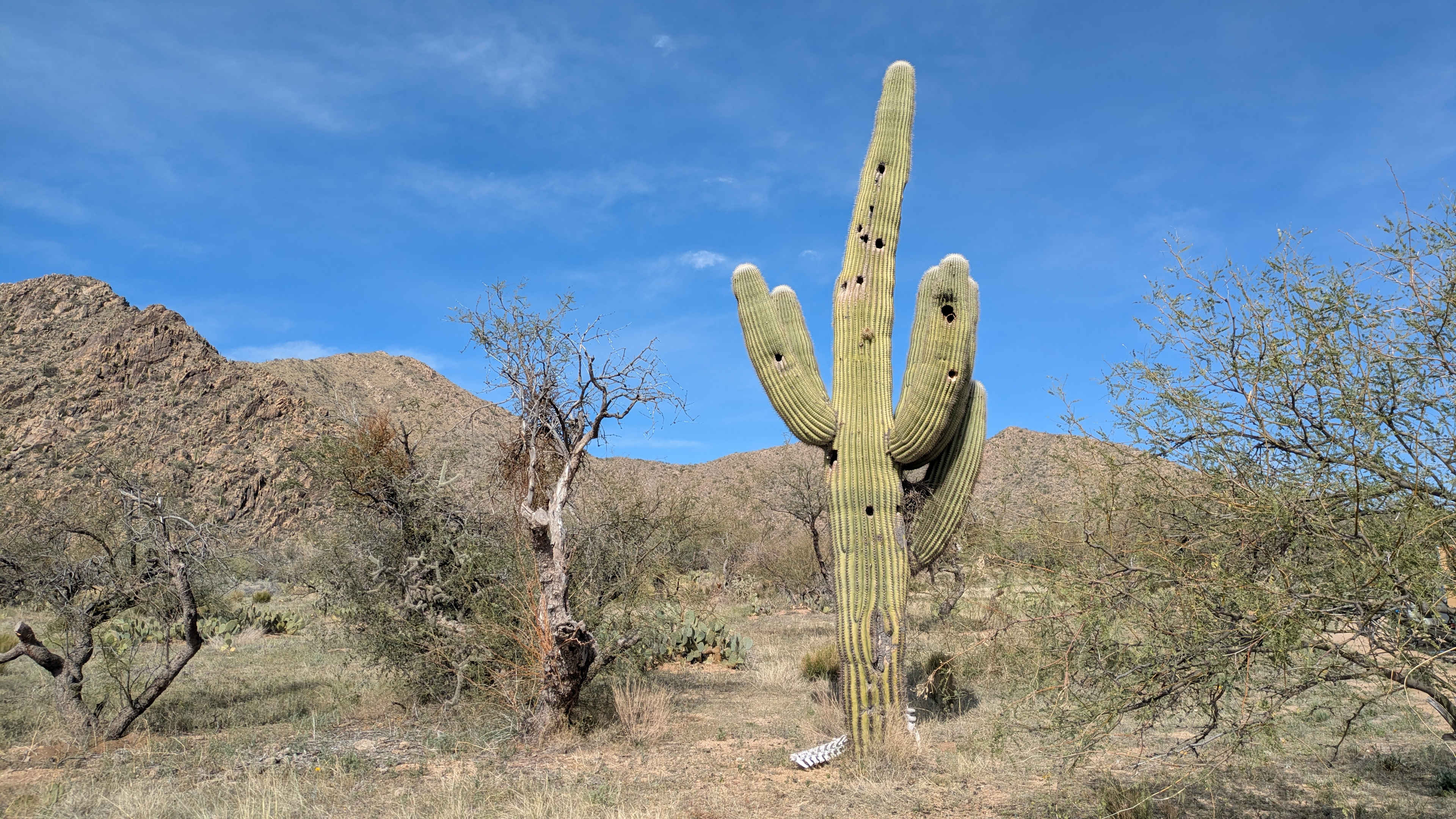 Epic Private 300 Acre Saguaro Park