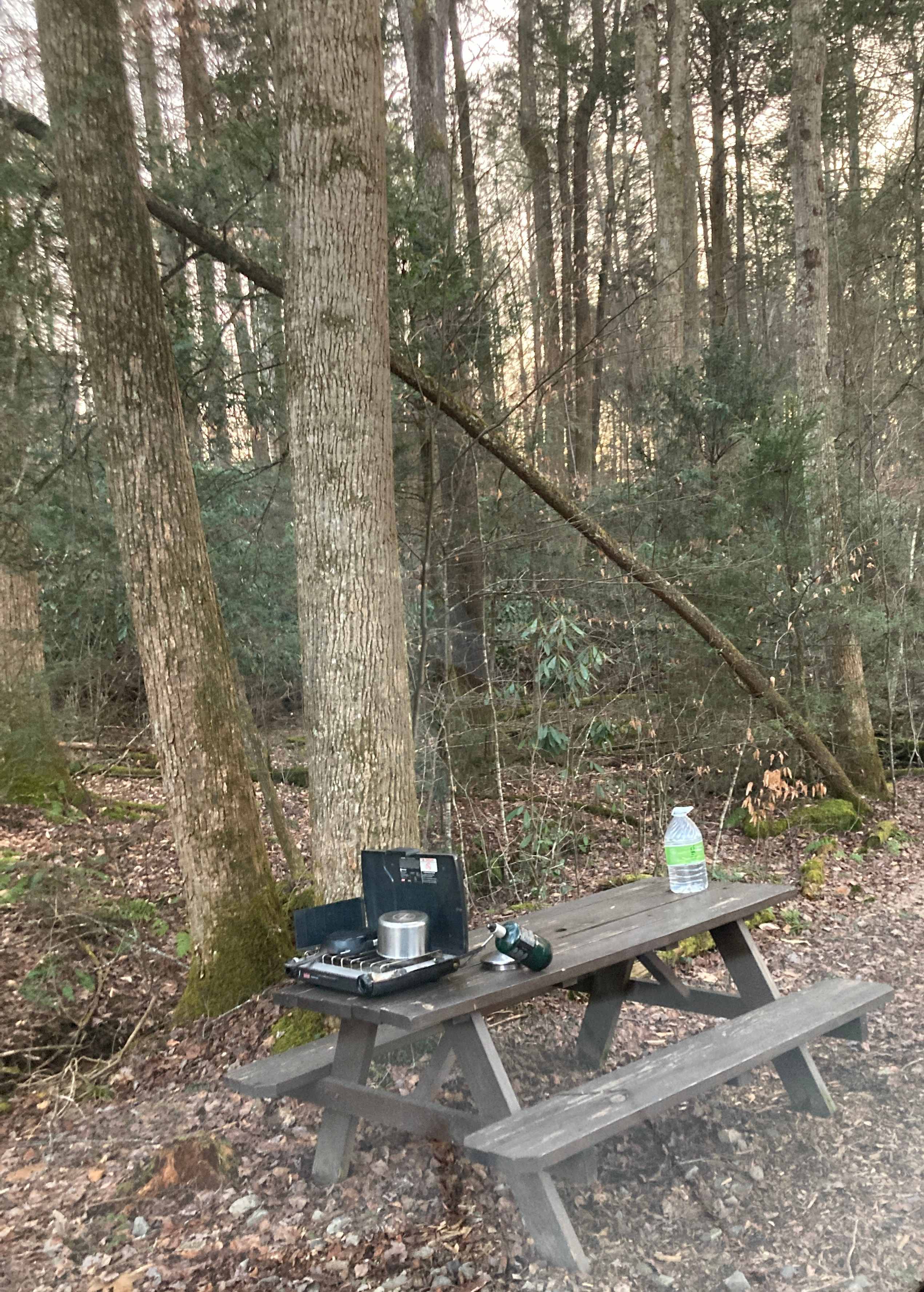 Picnic table was great!!