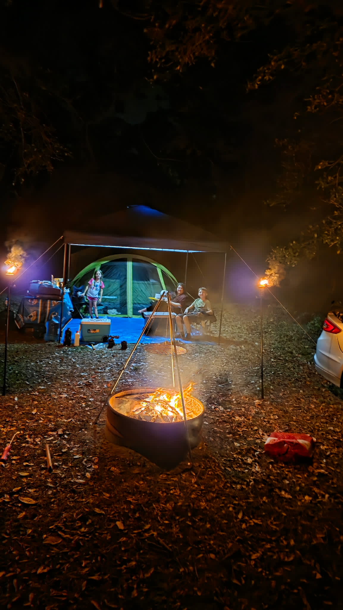 Wooded areas in a horse pasture
