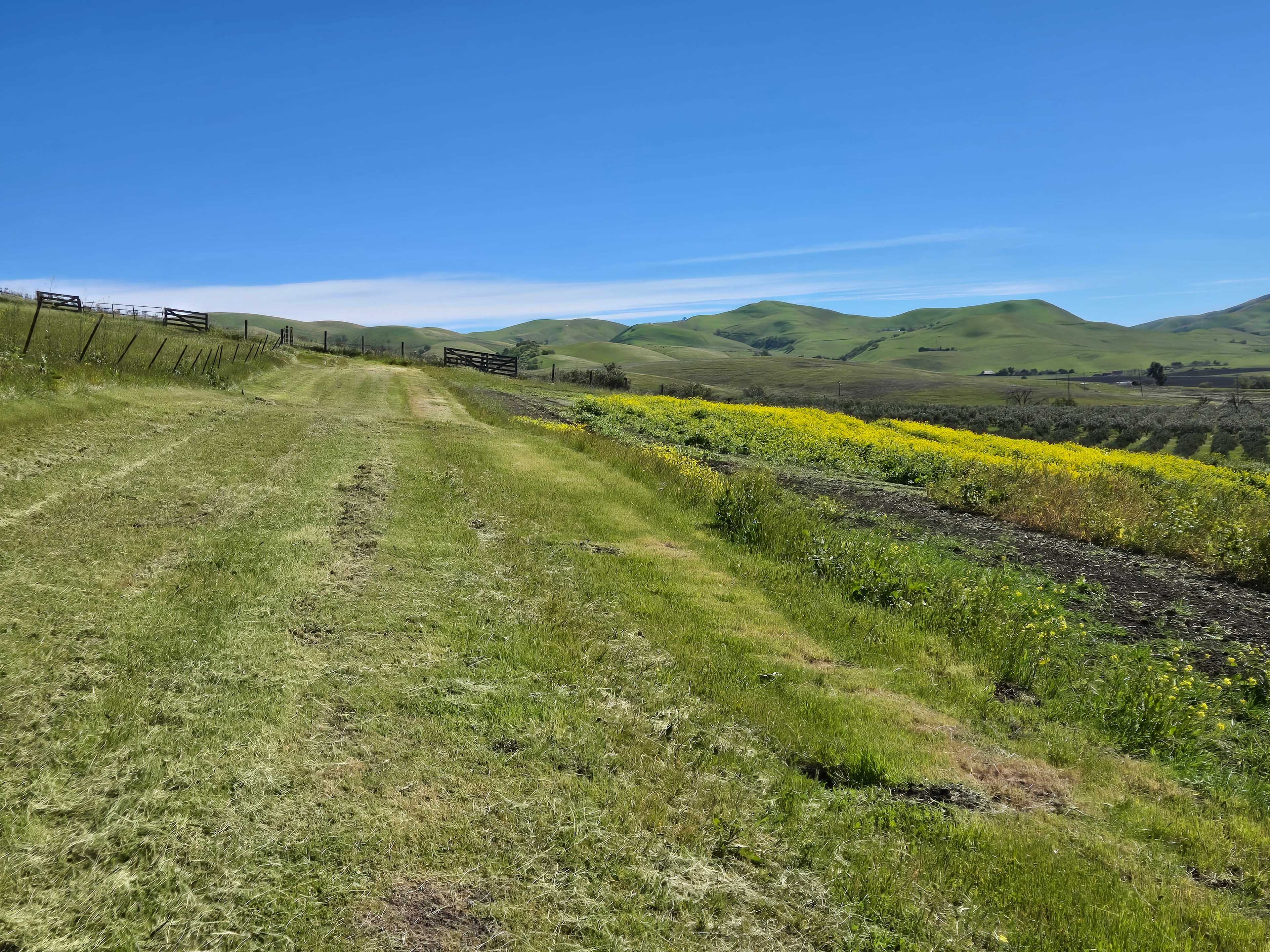 The Ranch at Cross Road