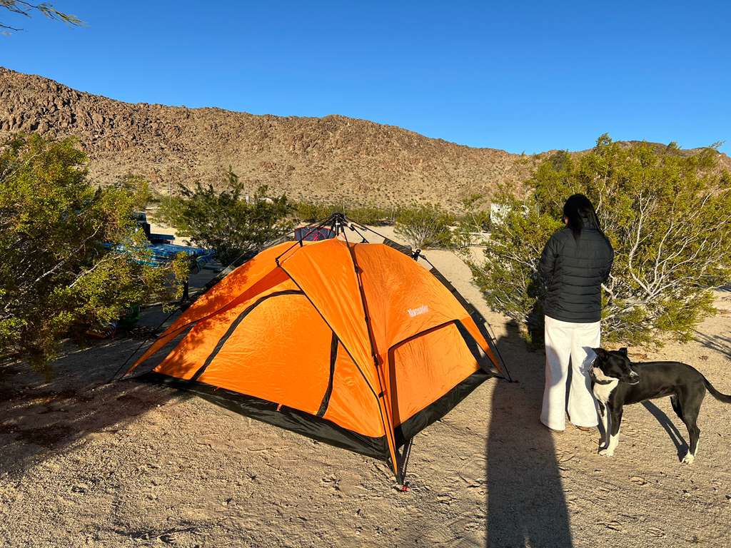 Nice setup with the mountains in the back