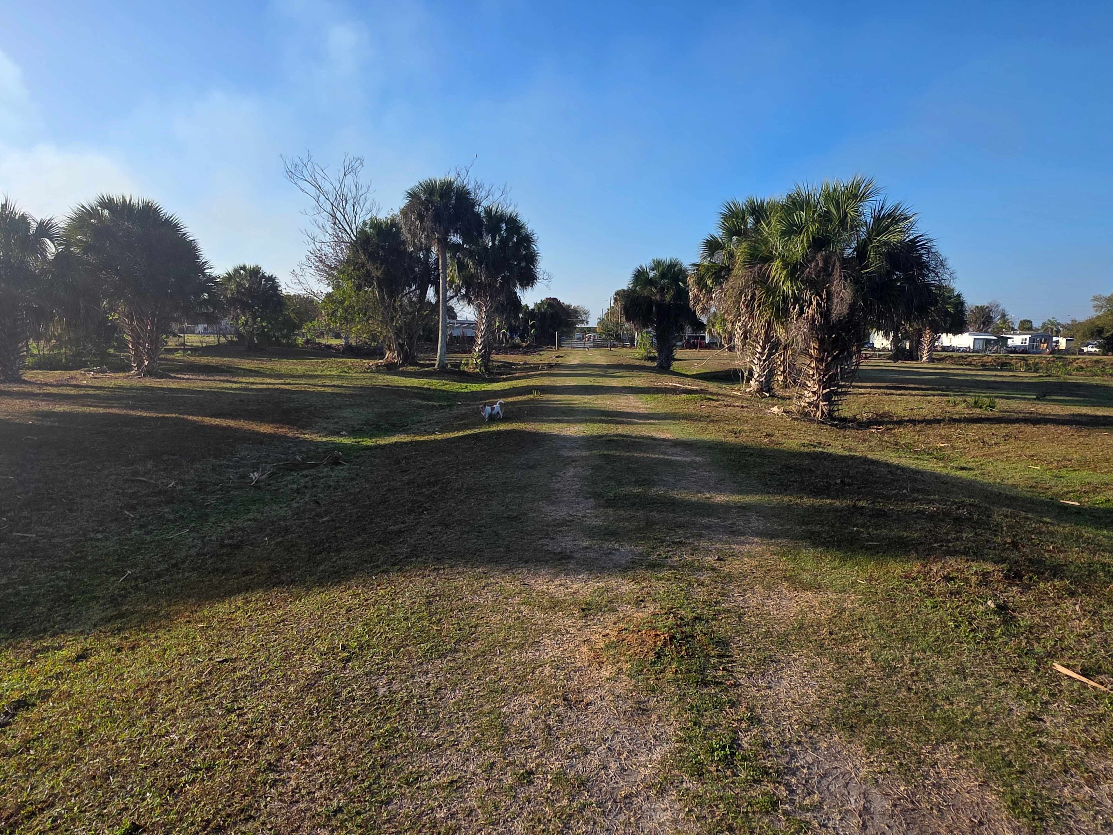 Blue Fox Ranch: Lake & Farm Camp