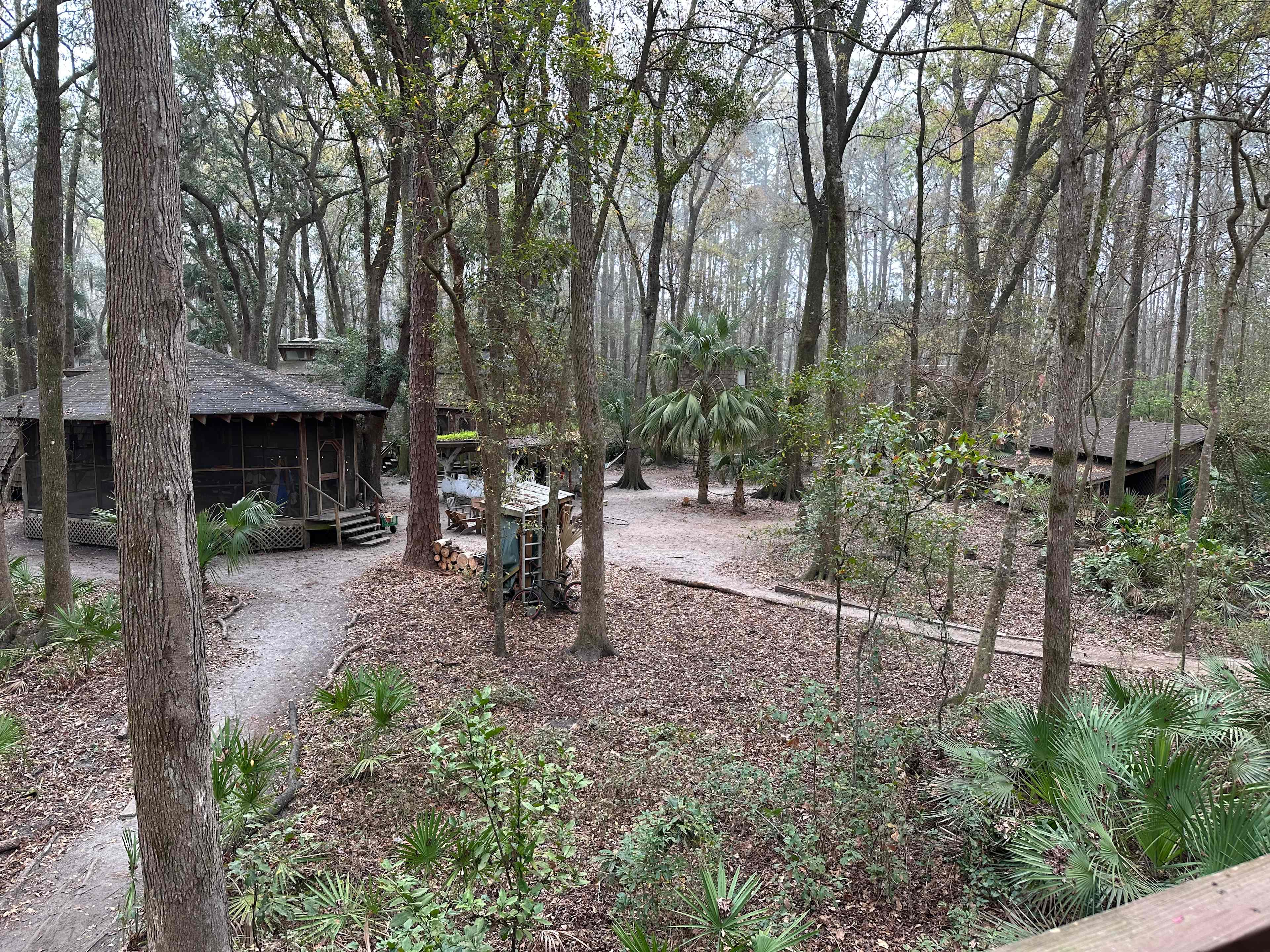 Hostel In The Forest