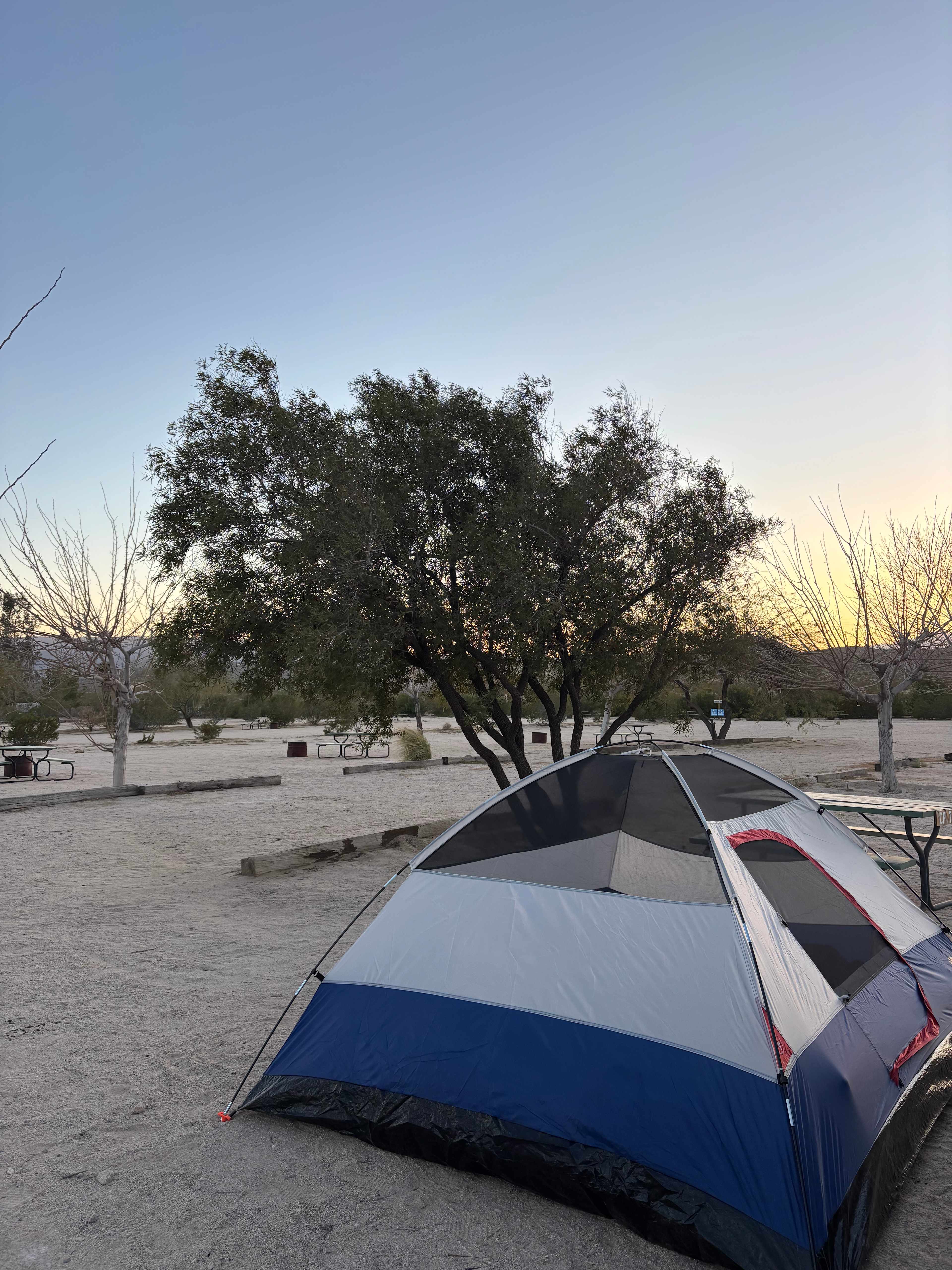 Joshua Tree Lake RV & Campground