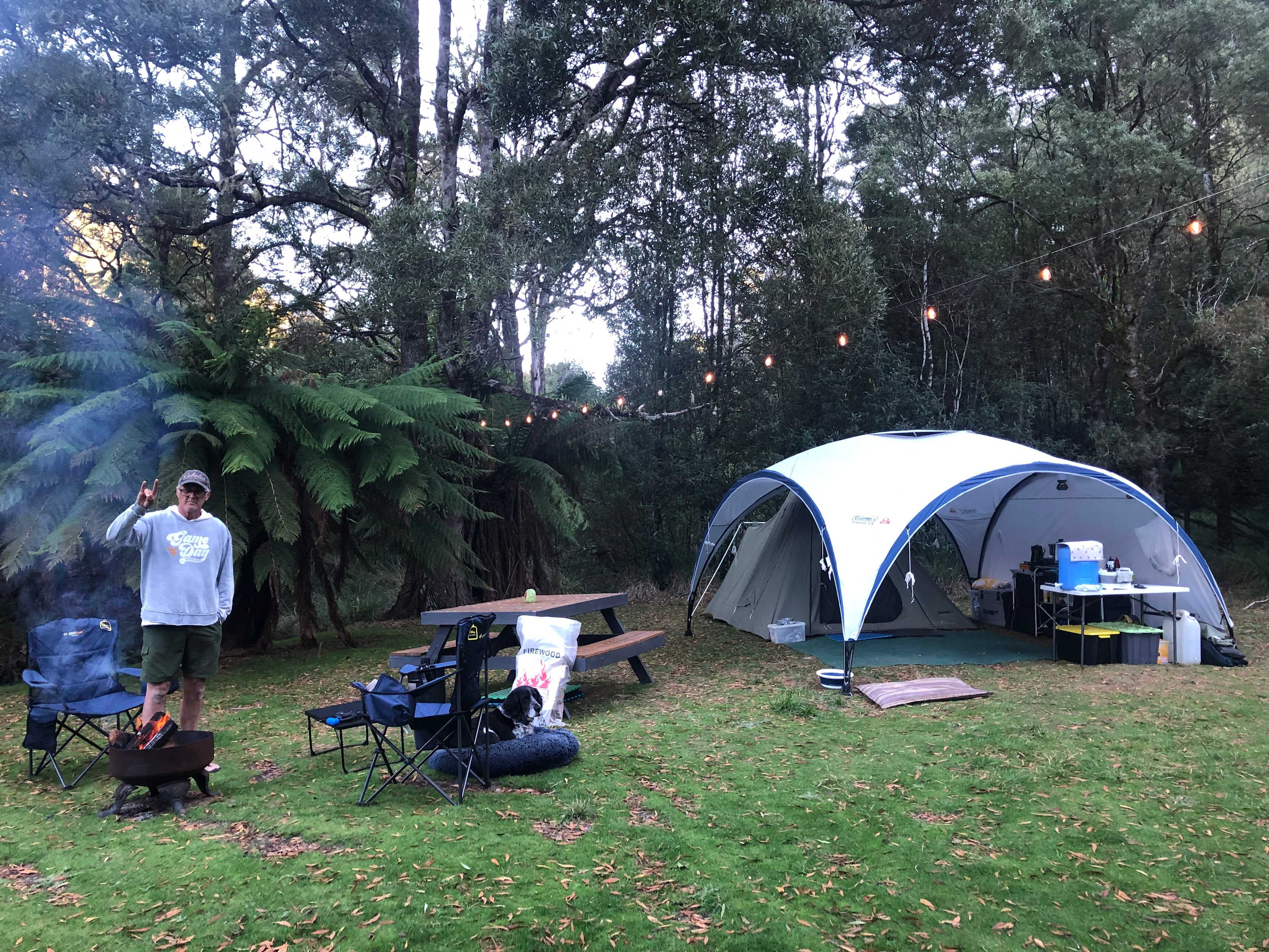 🐞🌿 Ladybug Camping 🌿🐞