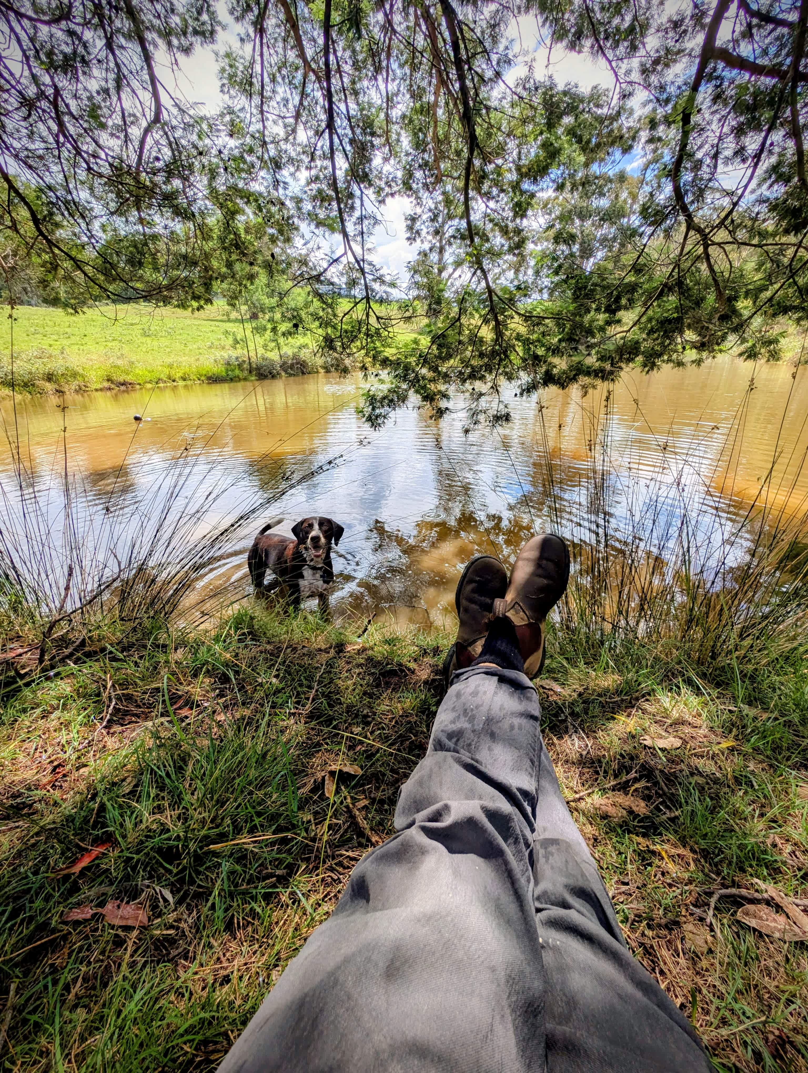 Hidden Brook Southern Highlands NSW
