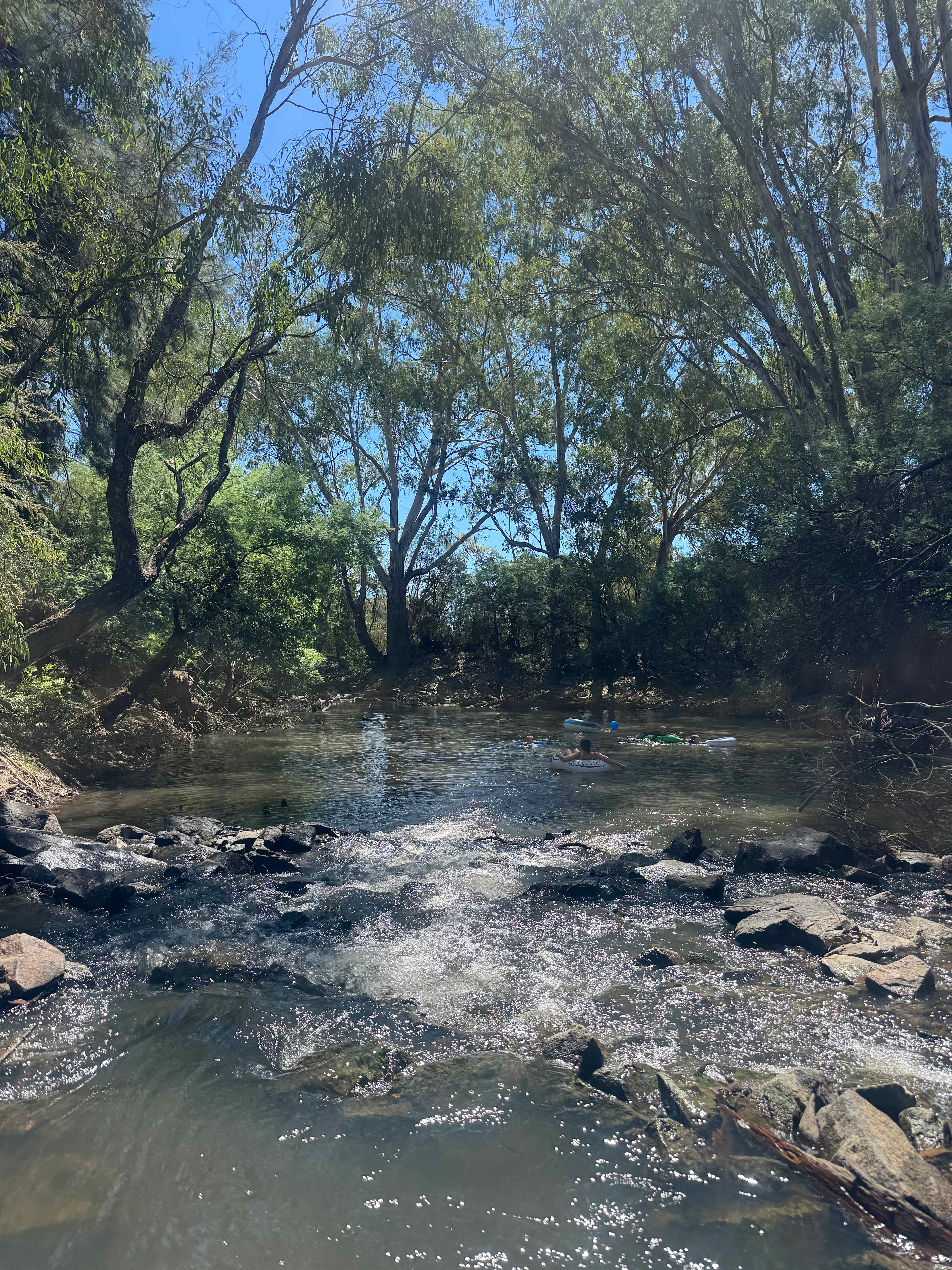 Jackaleah Farm Stay - Camping