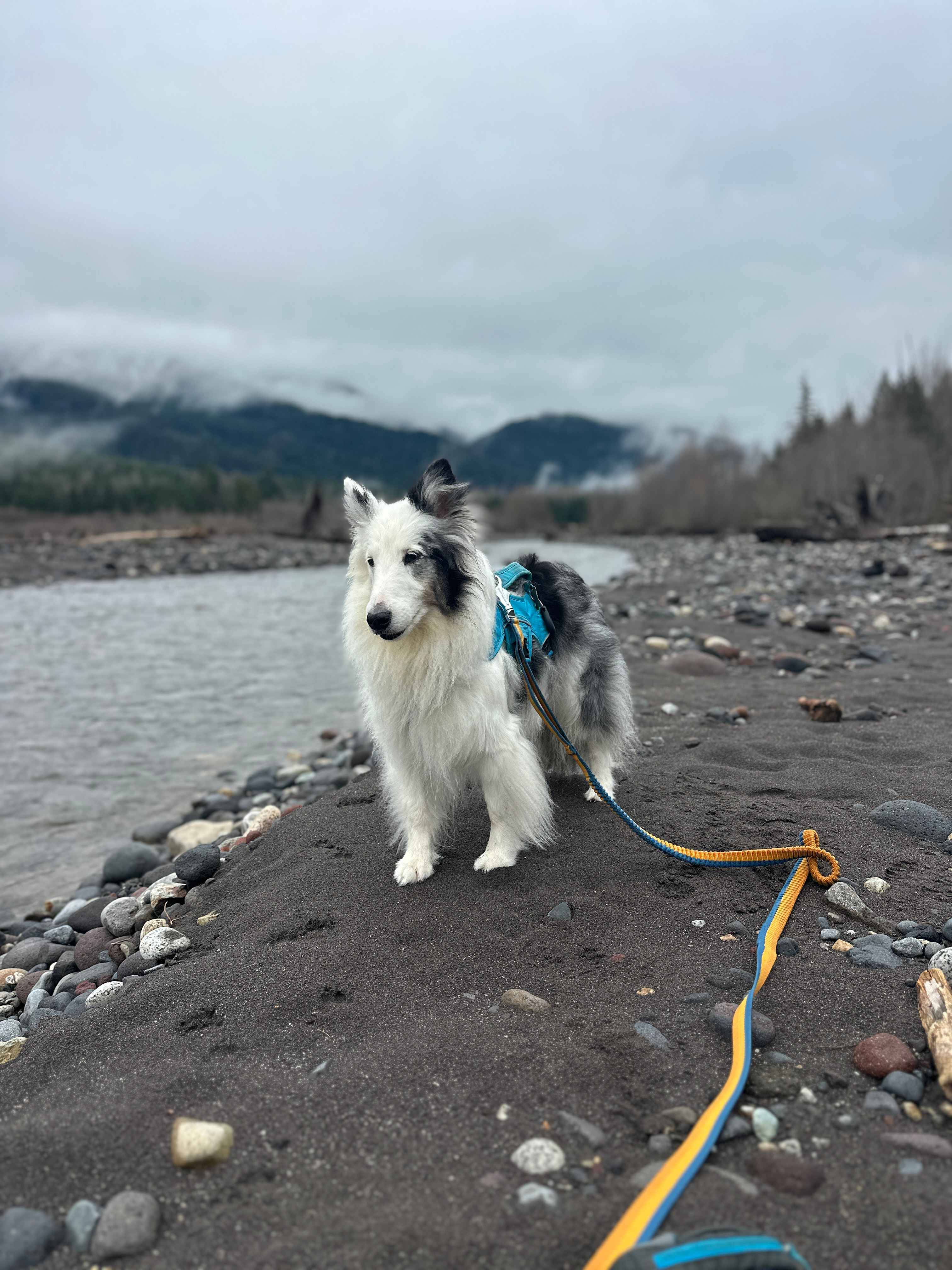 In a van by the river 