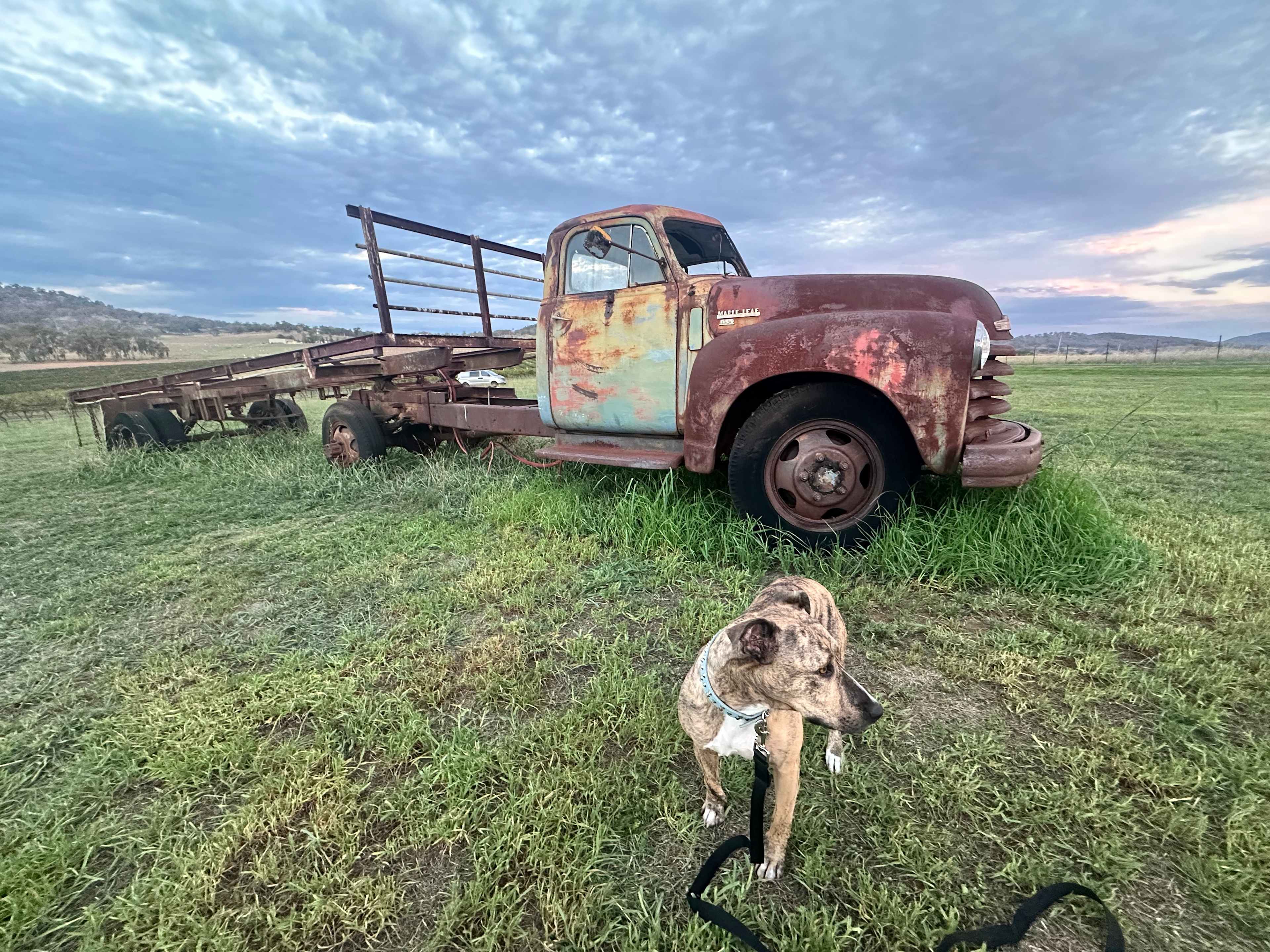 Vans in the Vines Mudgee