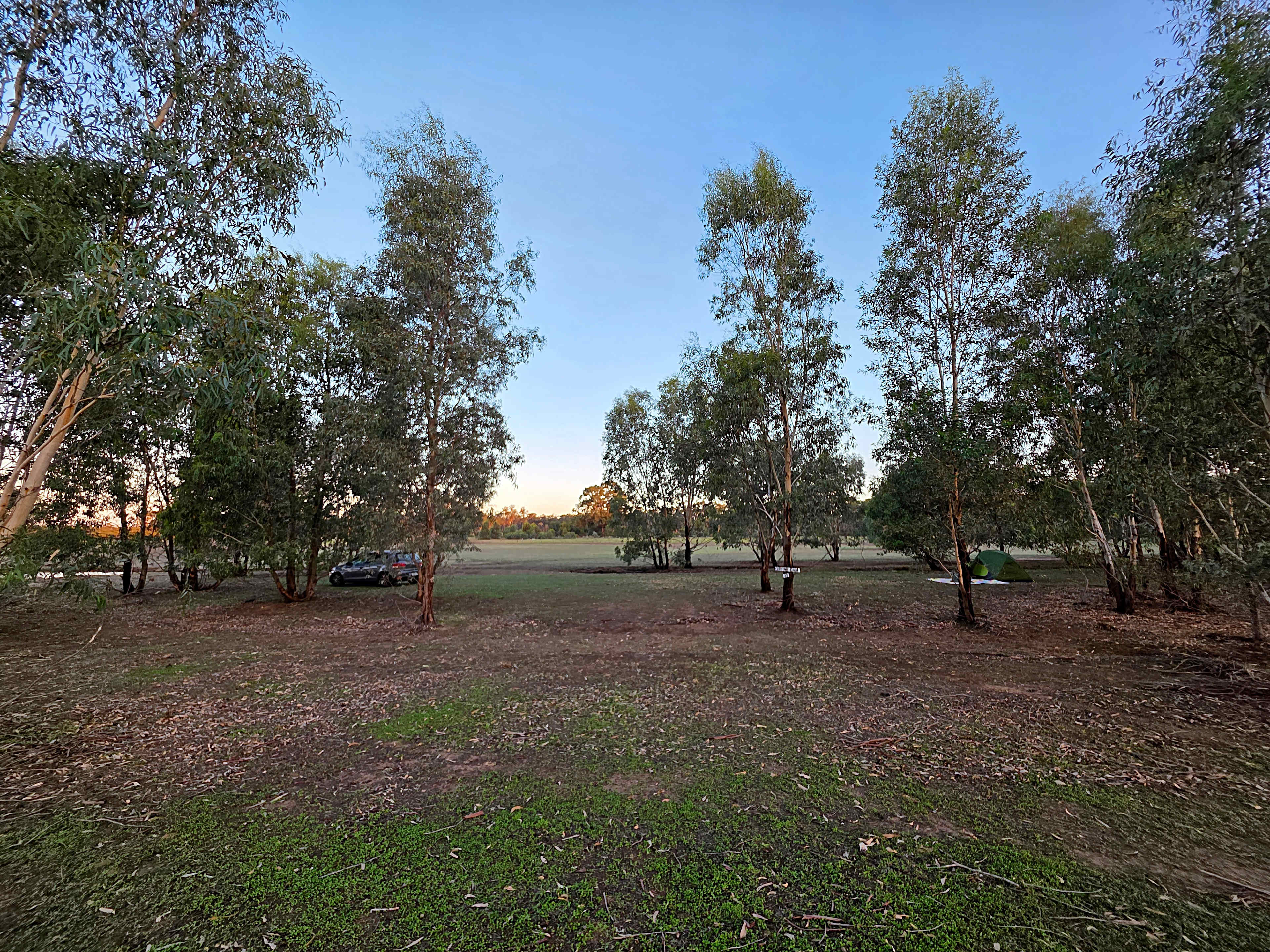 Somerville Park (Bendigo)