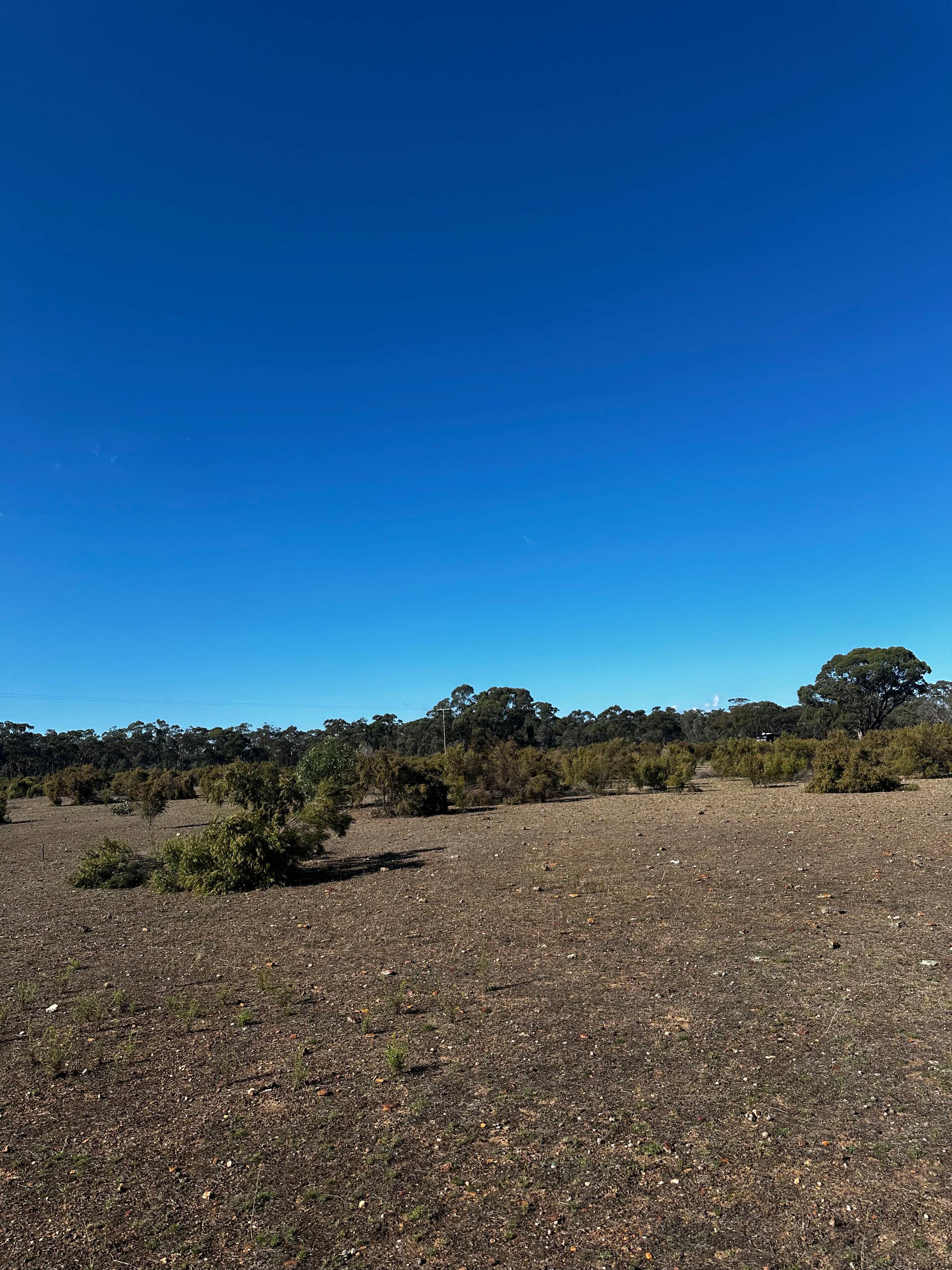 Somerville Park (Bendigo)