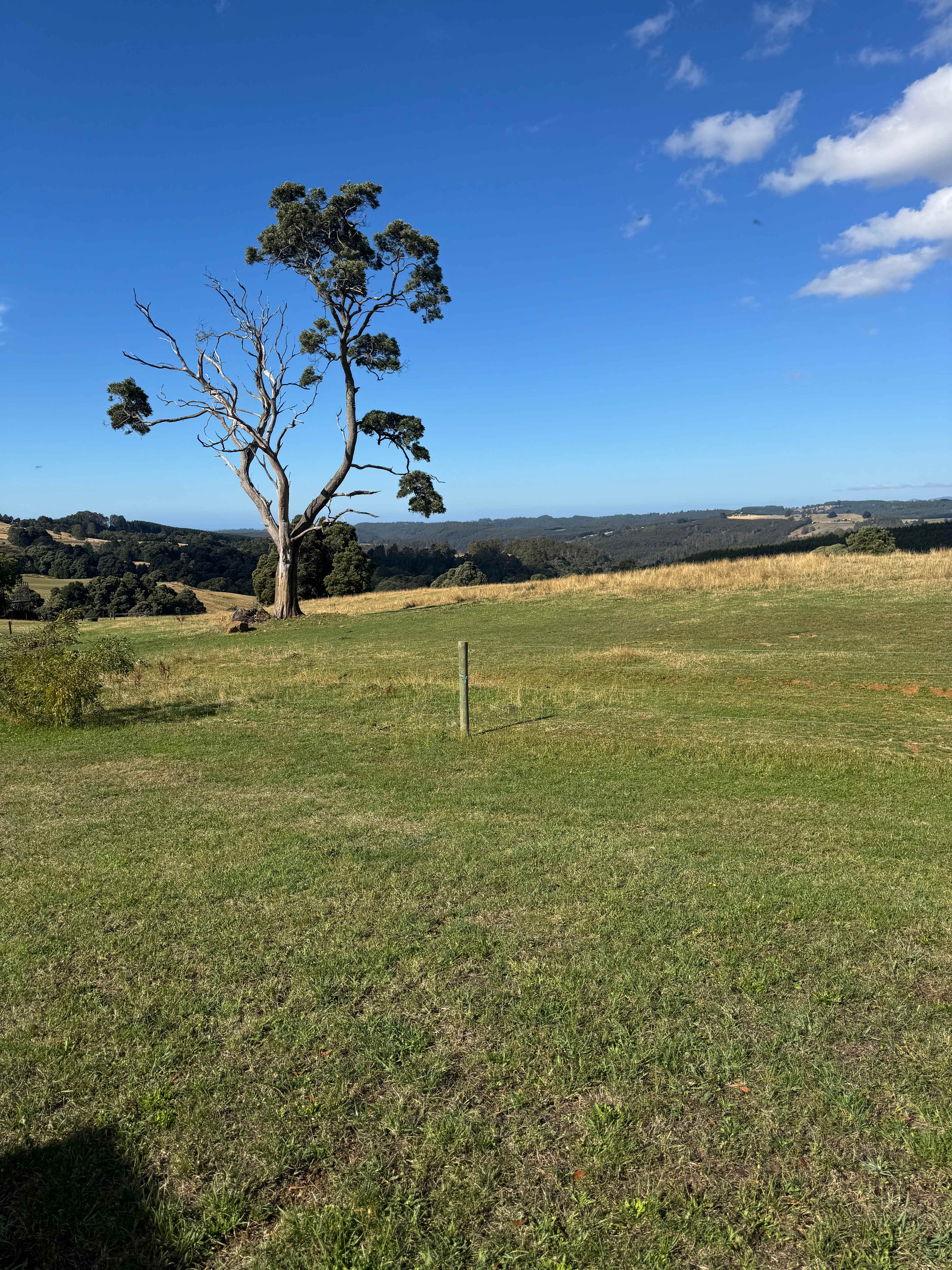 Arion Park, Campsite, YOLLA NW TAS
