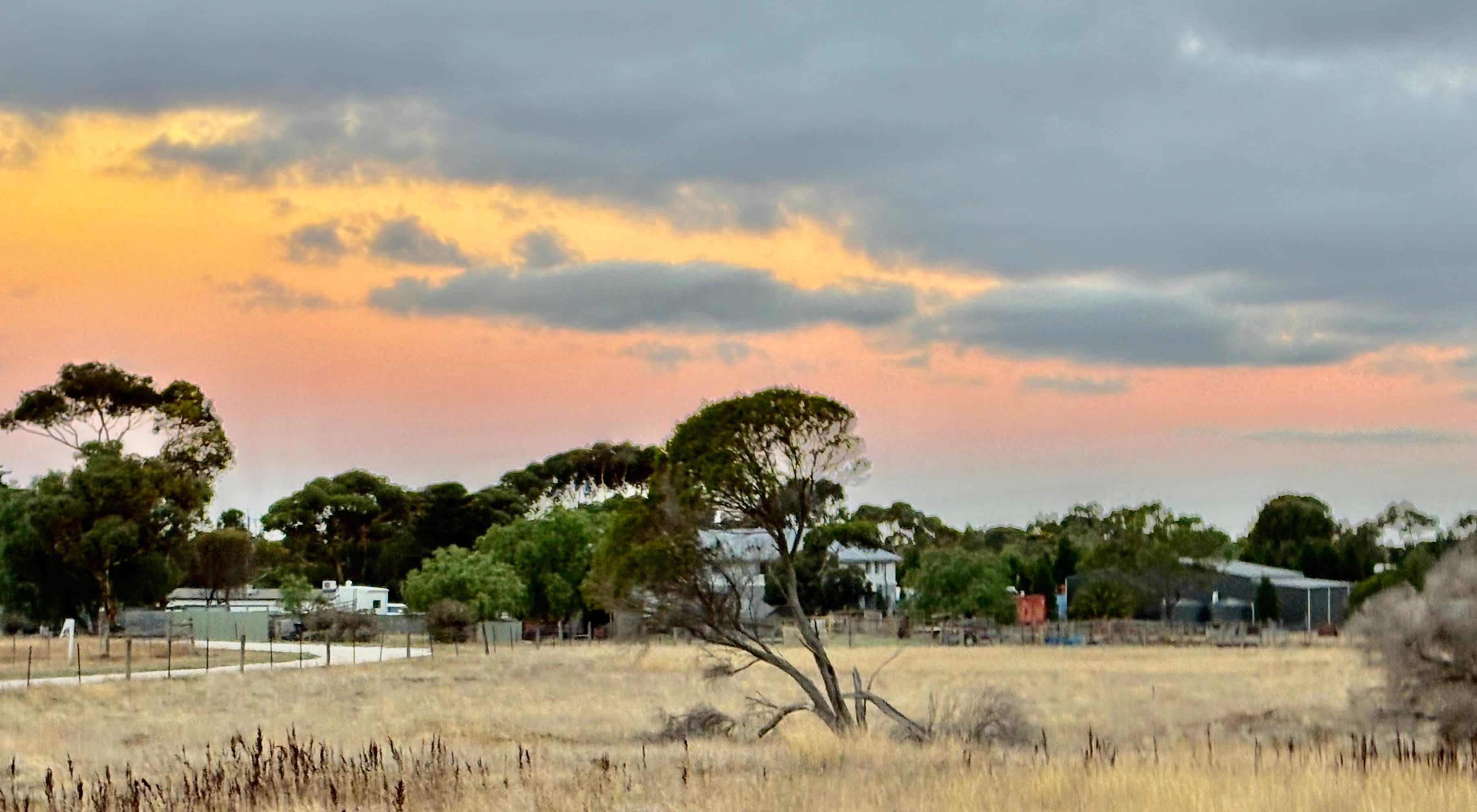 Lara Hobby Horse Centre