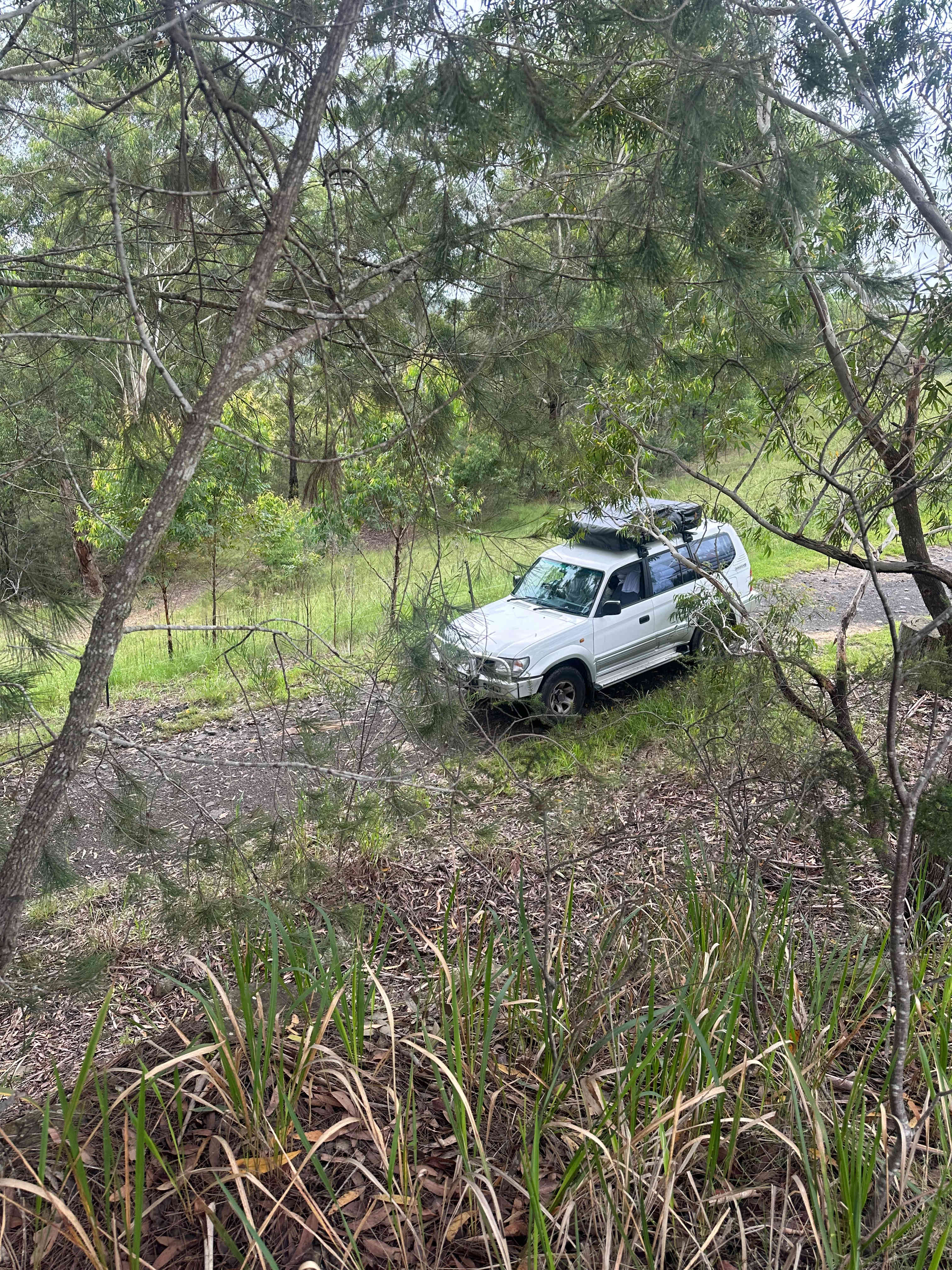 Canoelands Orchard Camping