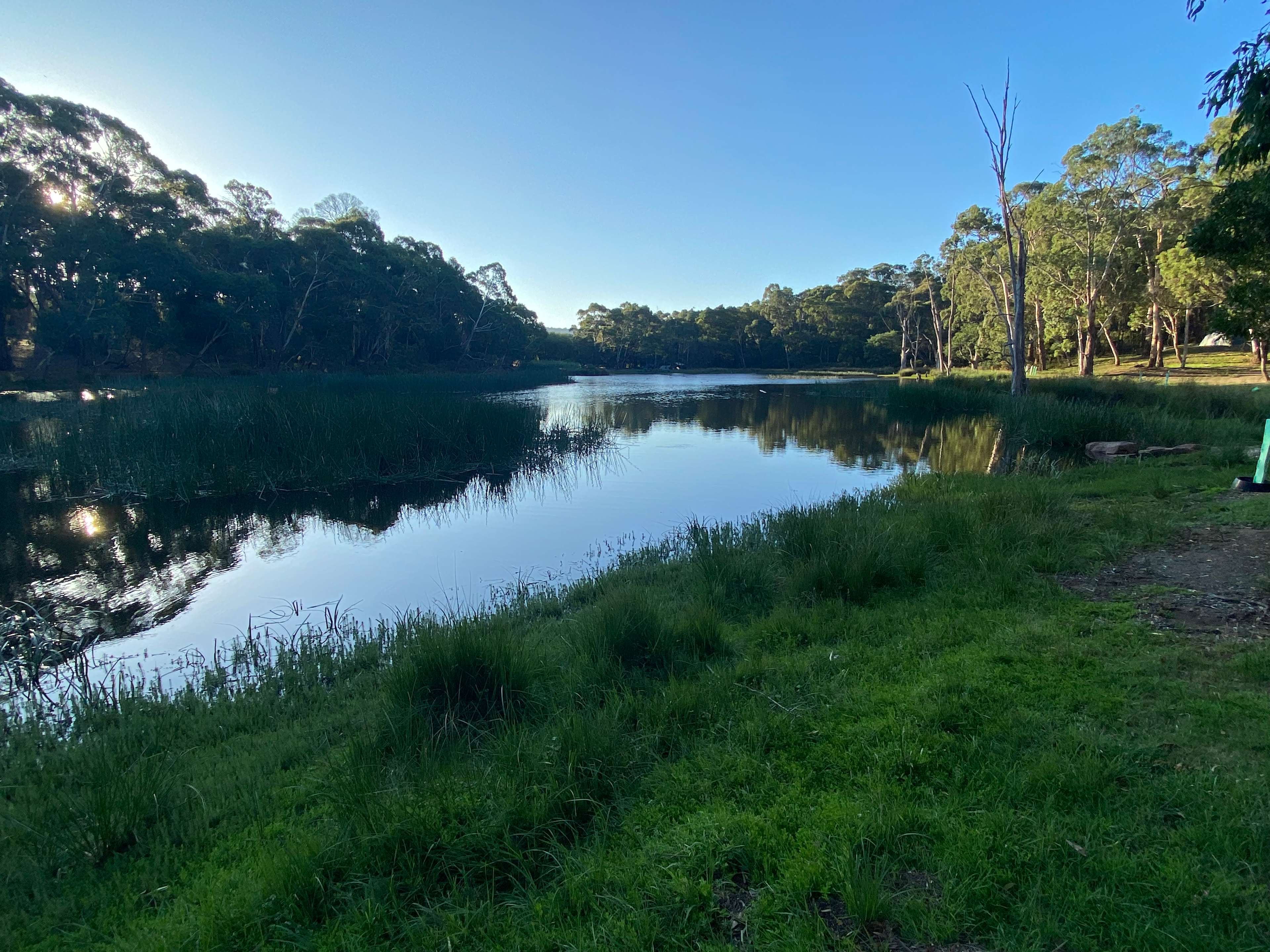 Lancefield Lake's A WETLANDS WONDER
