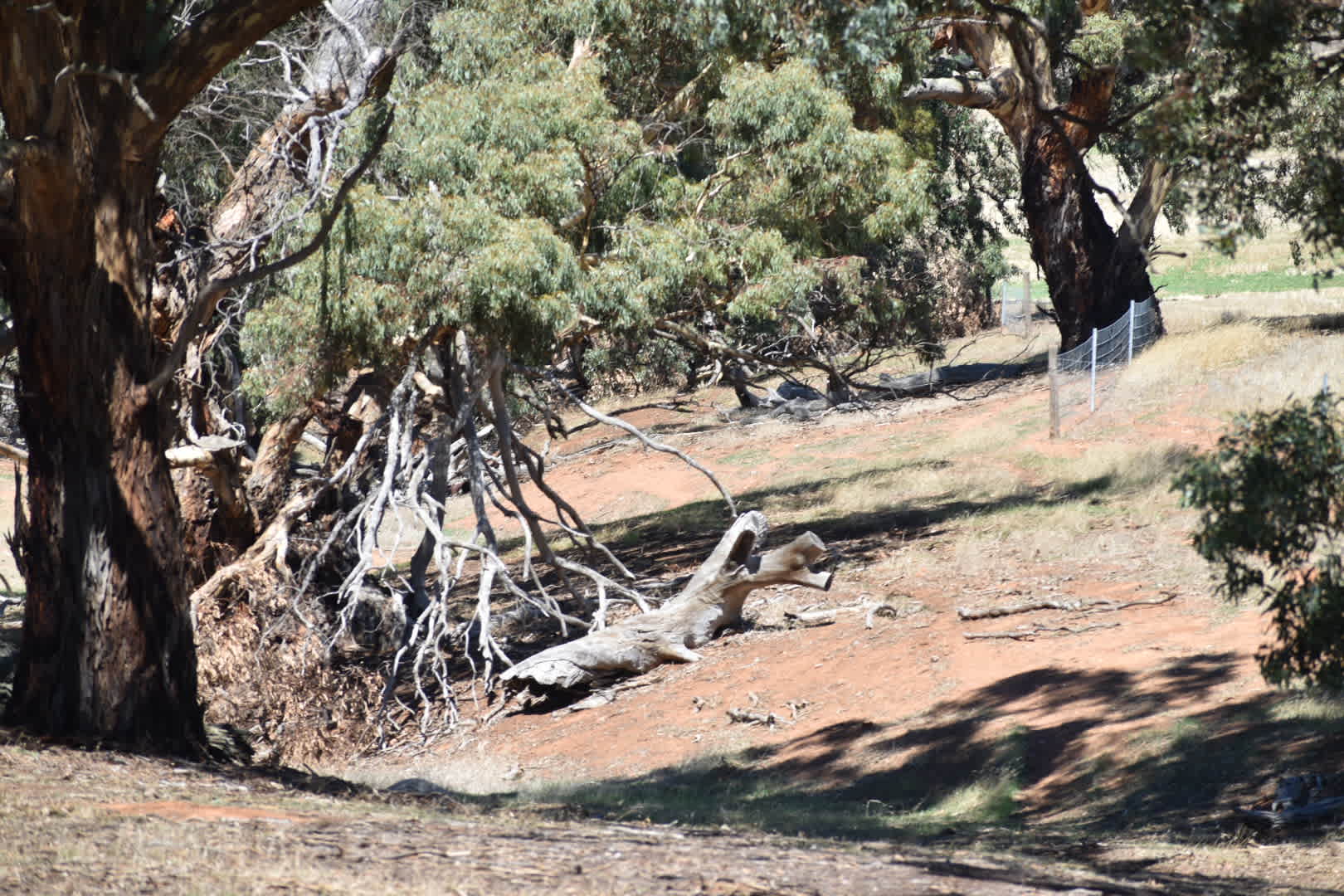 Edgehill Farm Stays Riverton