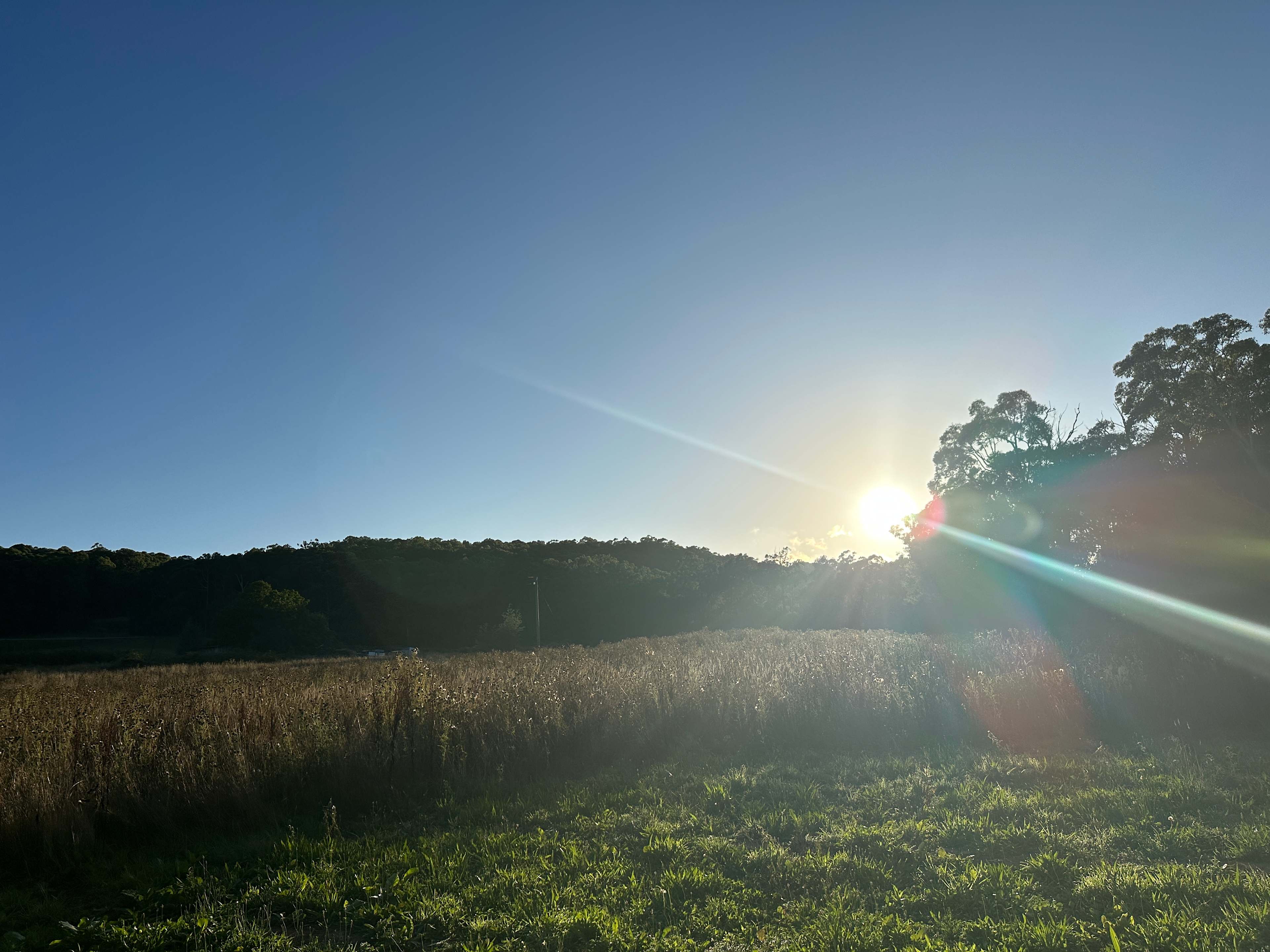 Nerrigundah Contrée Sauvage