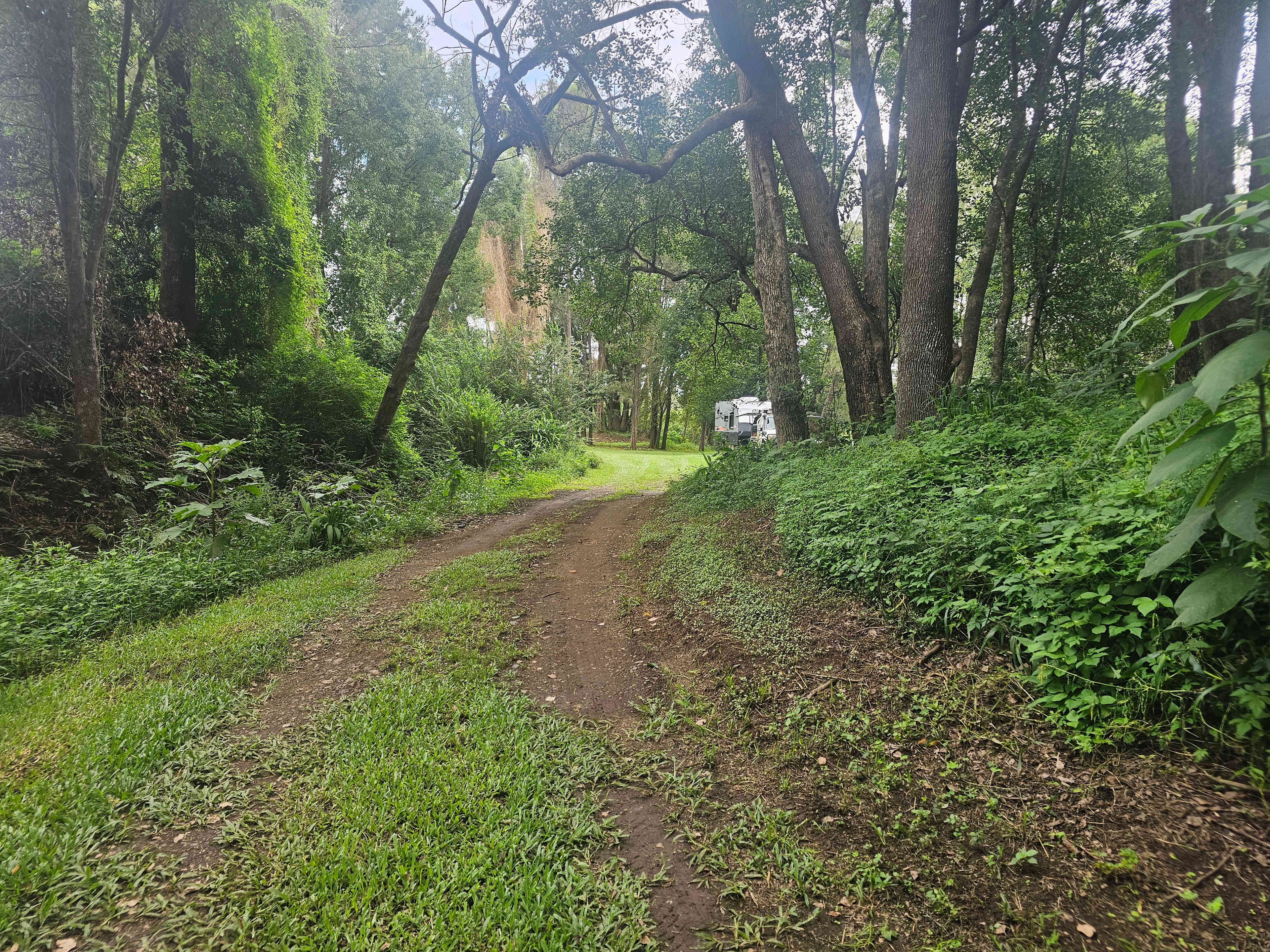 Mt Lion Farm Secluded Creek Camping