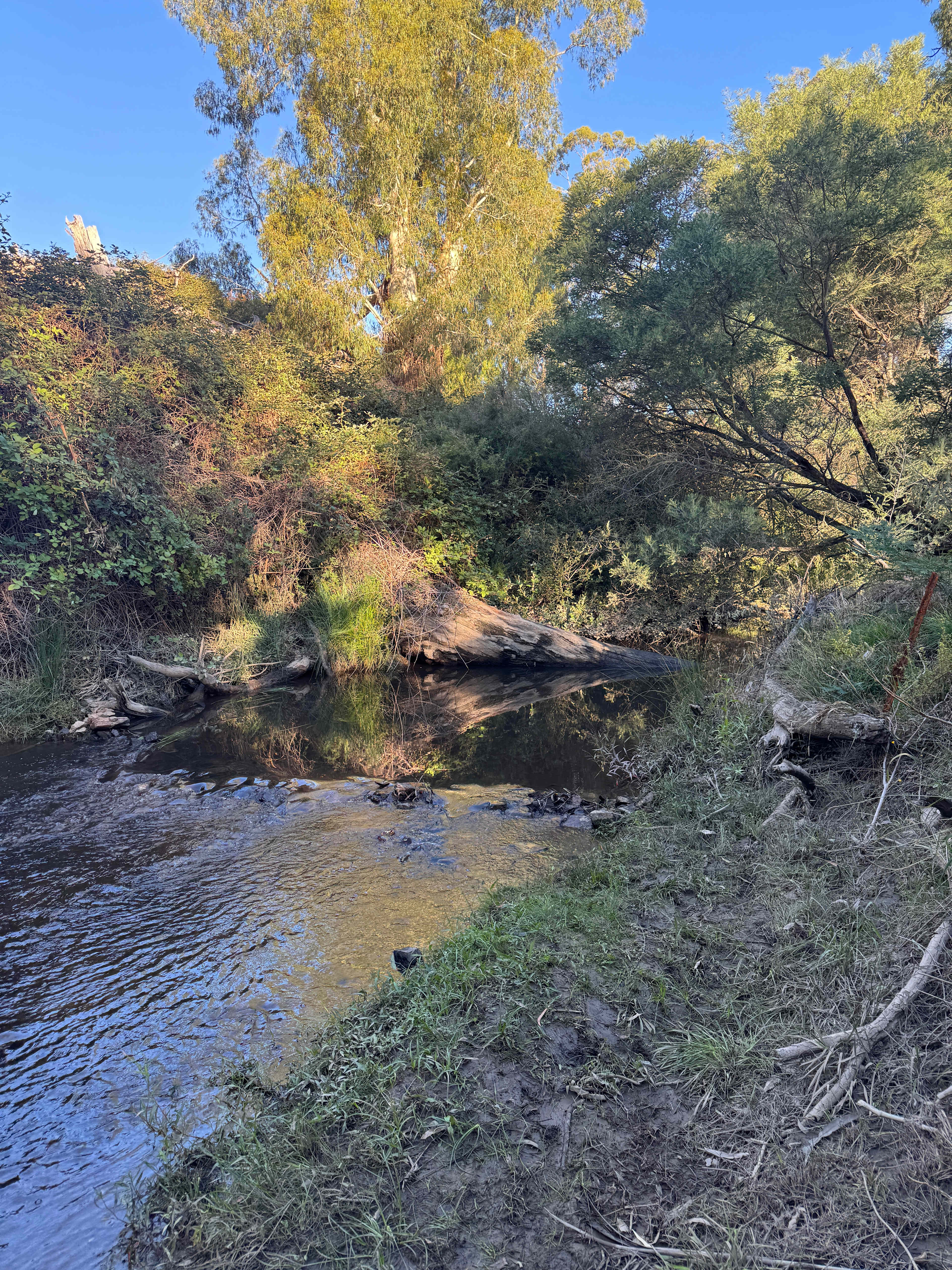 Strath Creek Station