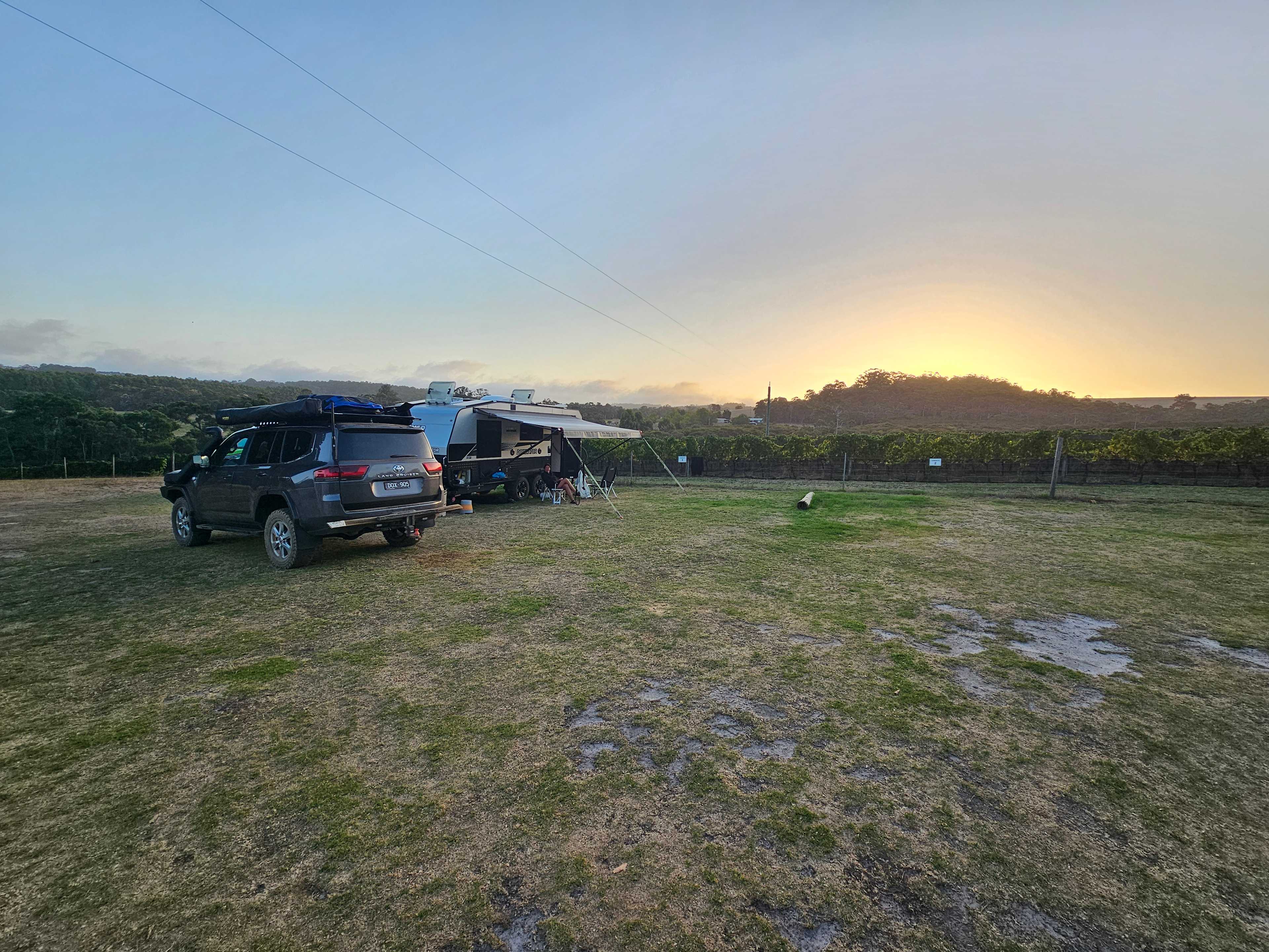 Denmark Farmhouse Cheese