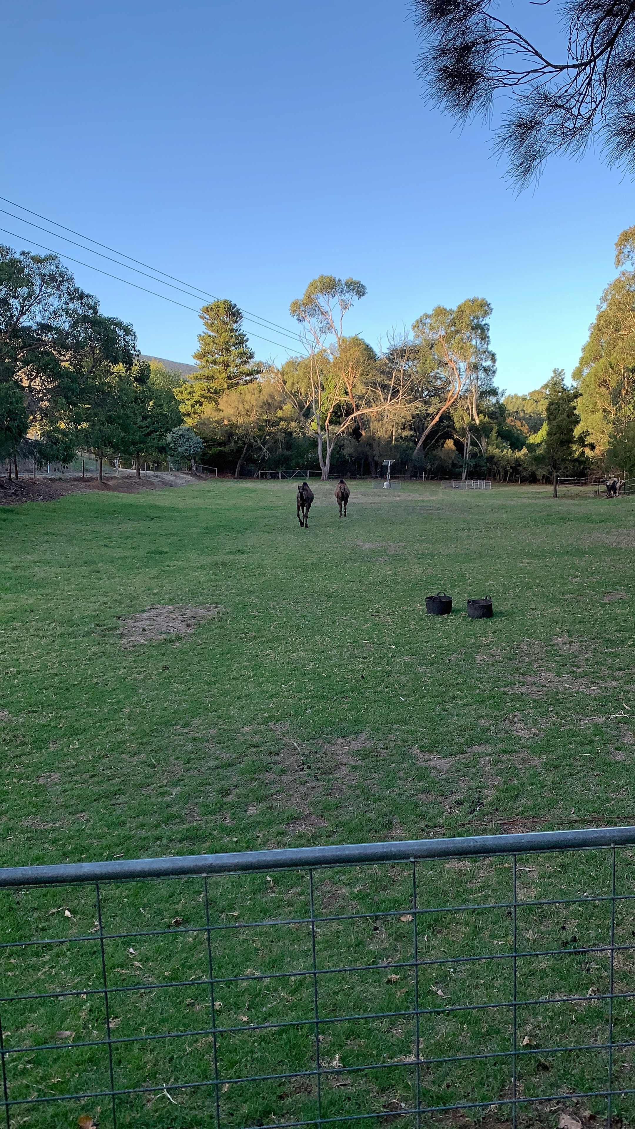 Noorla Farm (Happy Camping Ground)