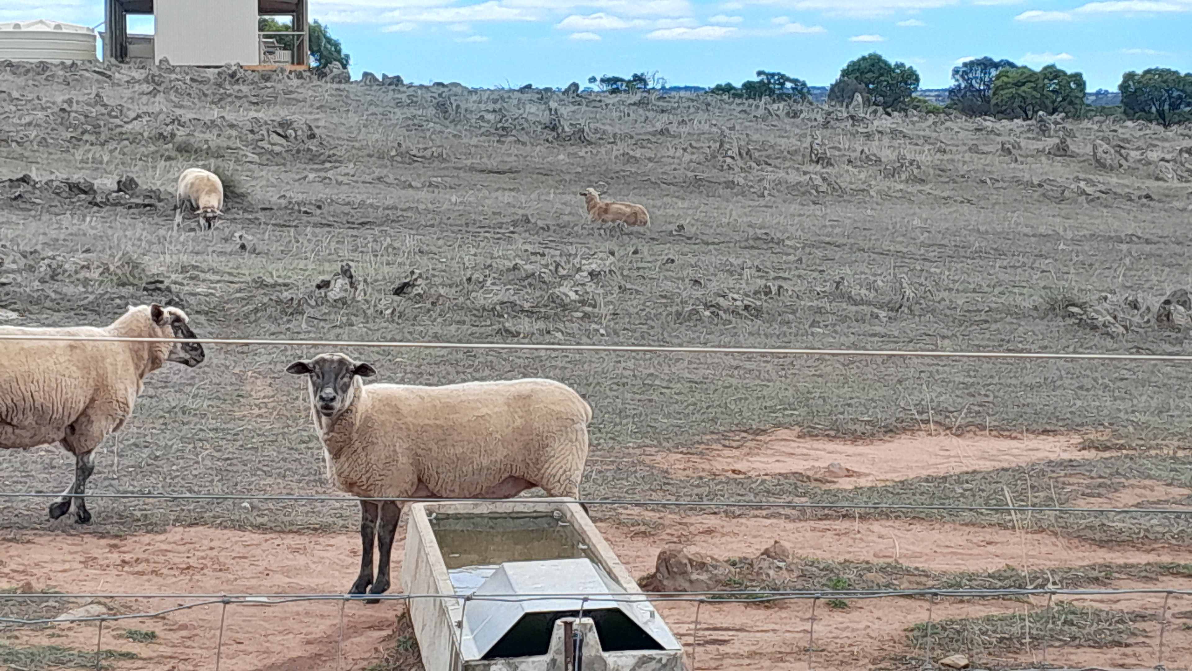 Harry’s Rockleigh Bush Camp