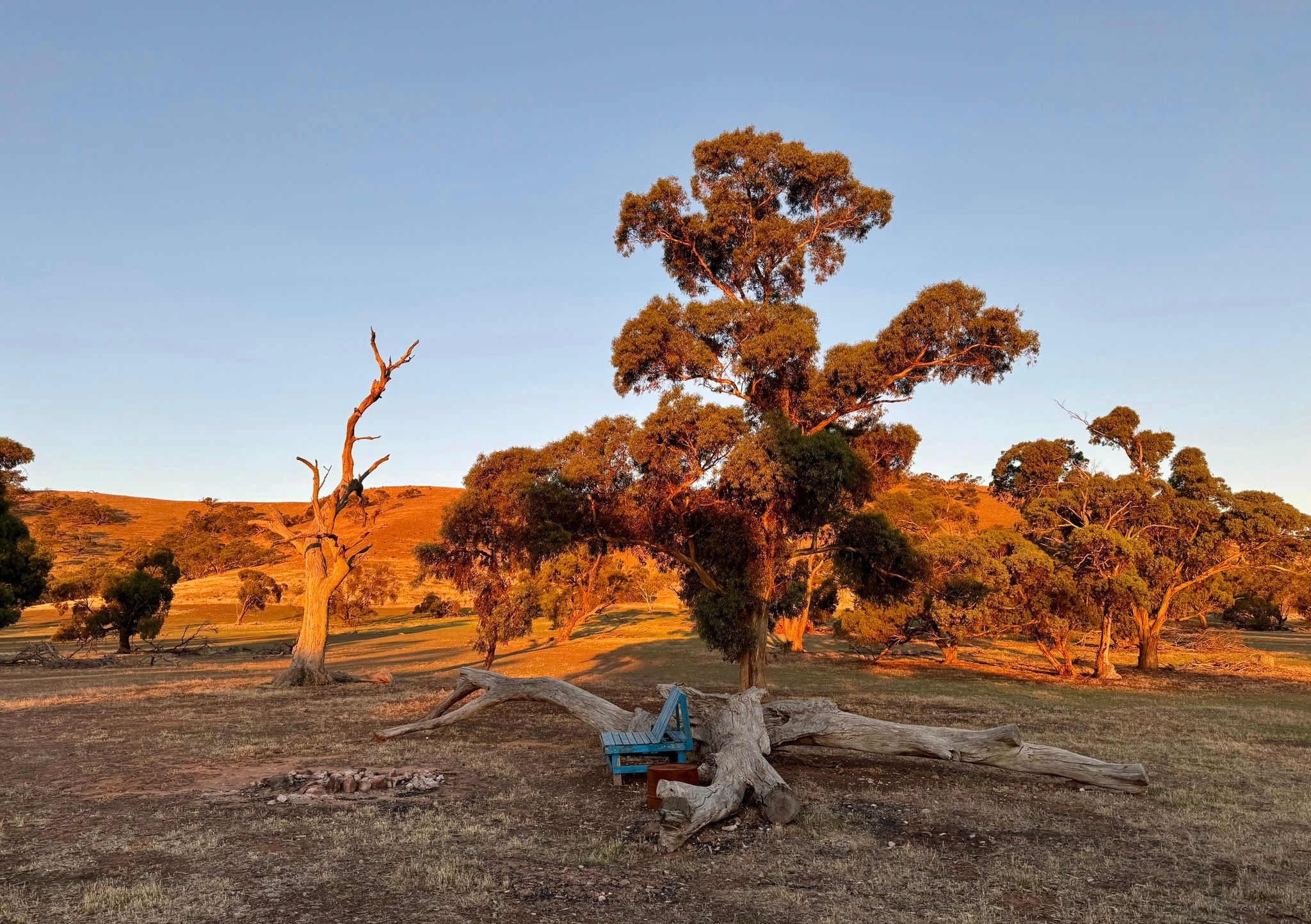 Edgehill Farm Stays Riverton