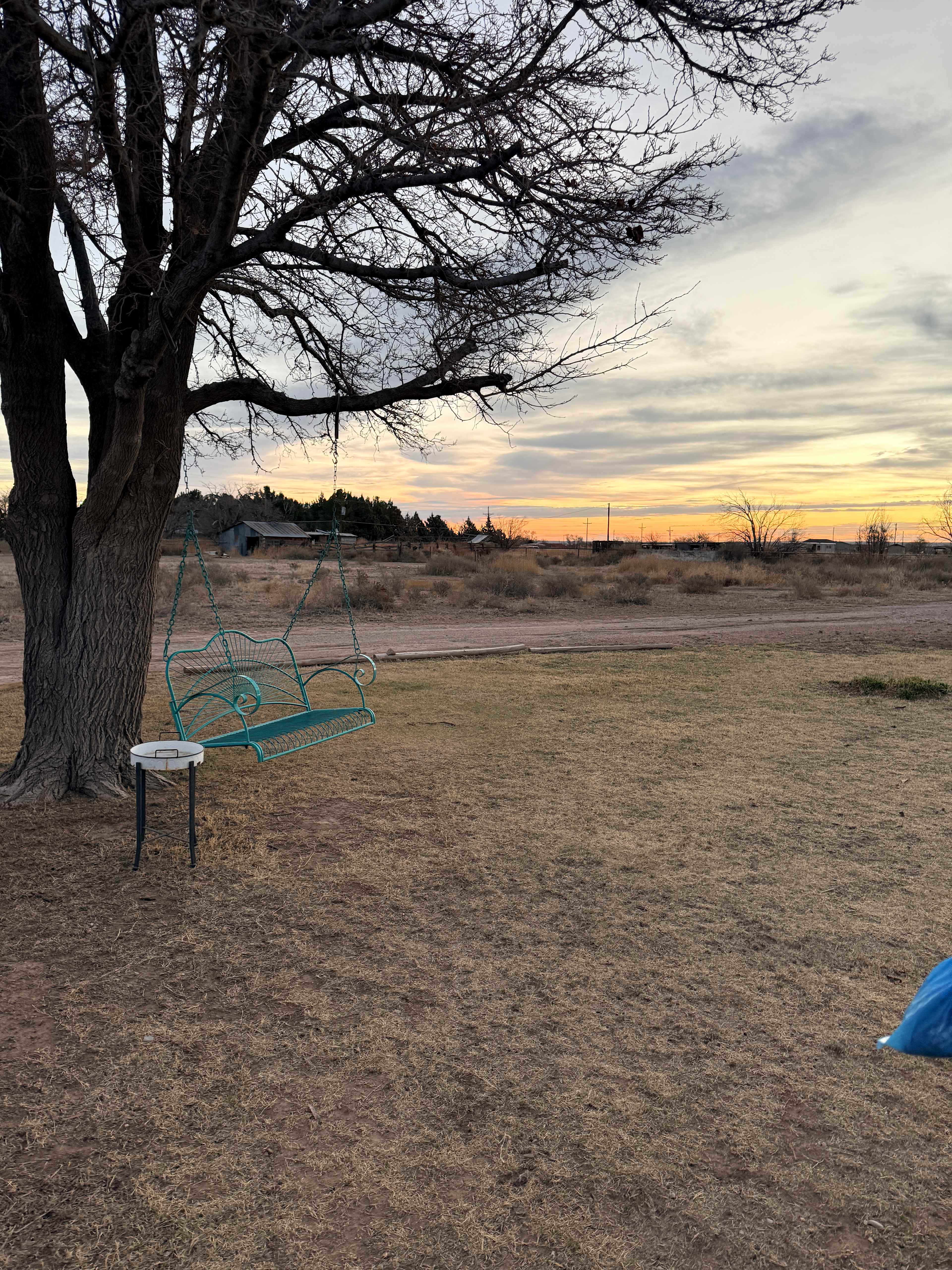 Desert Rose Stopover