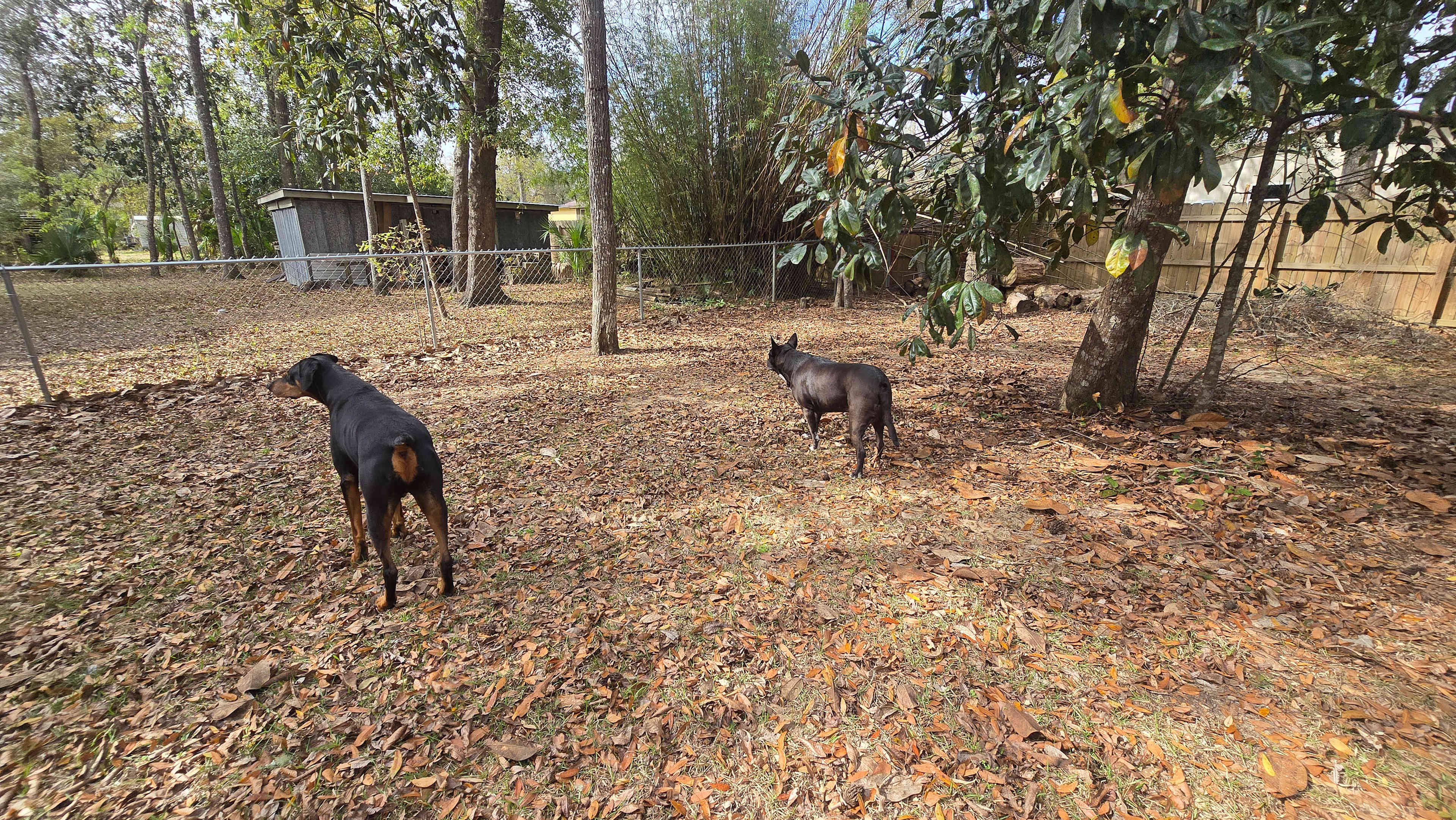 O'Neal's fish camp at Howard Creek