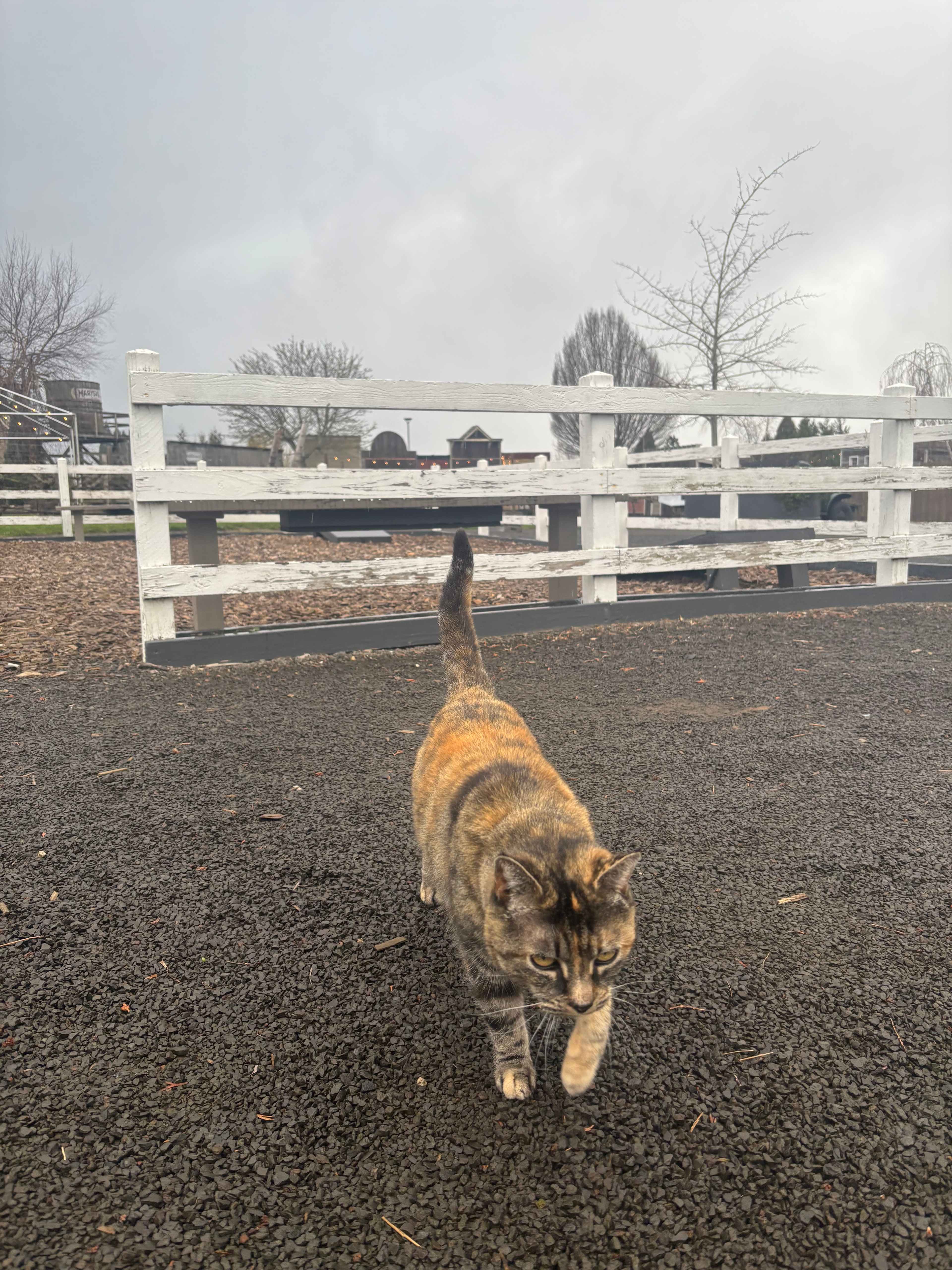 Your Farm in the City