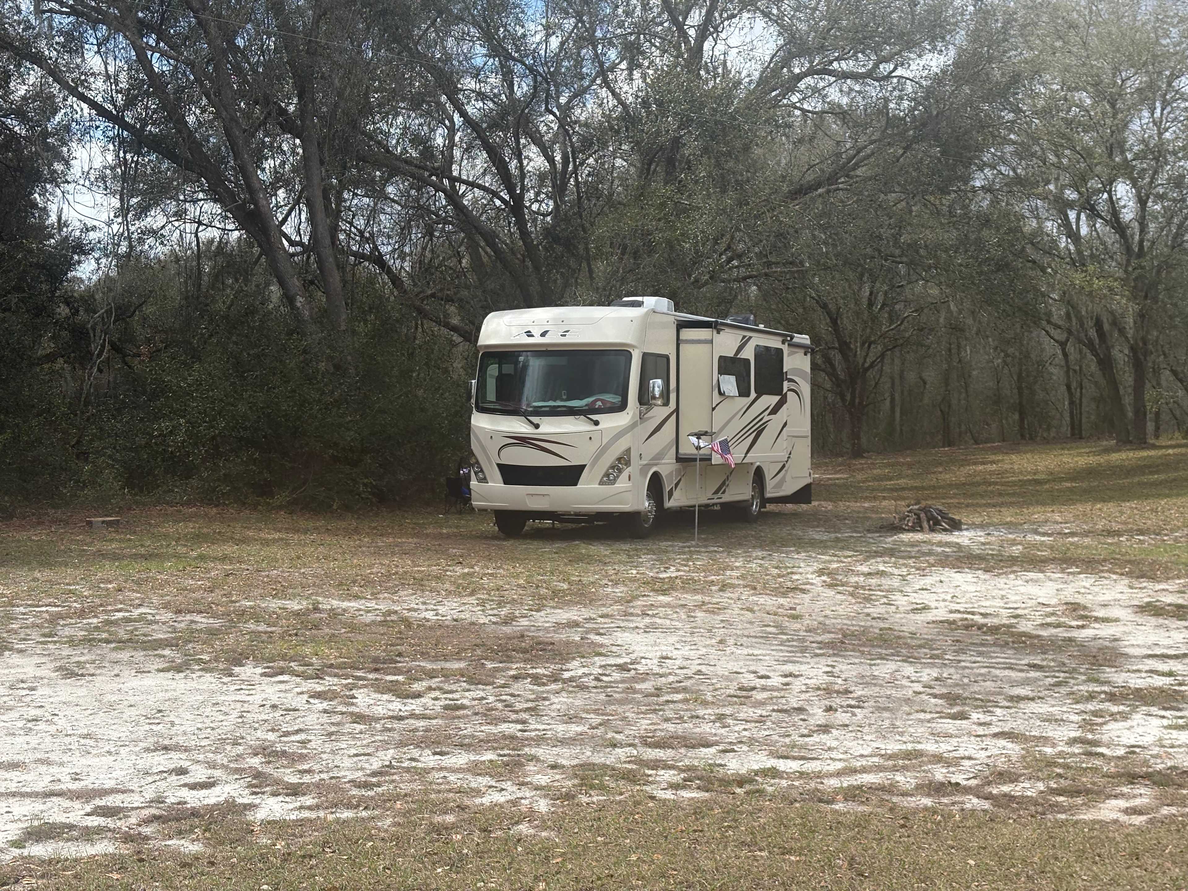 Plenty of wide open space and grassland tree