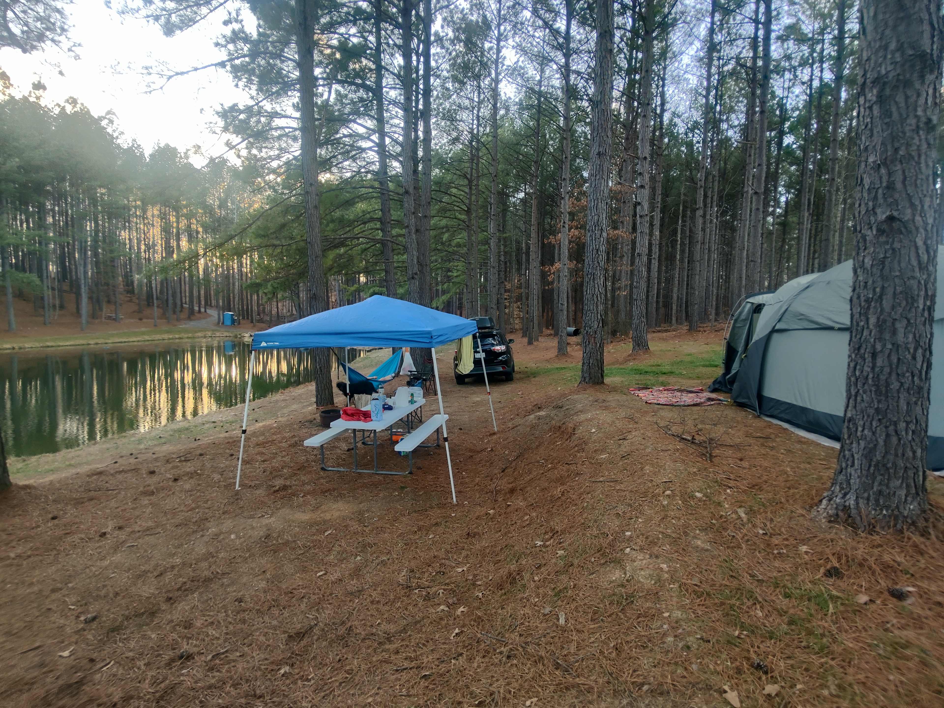 Peaceful Meadows Farm