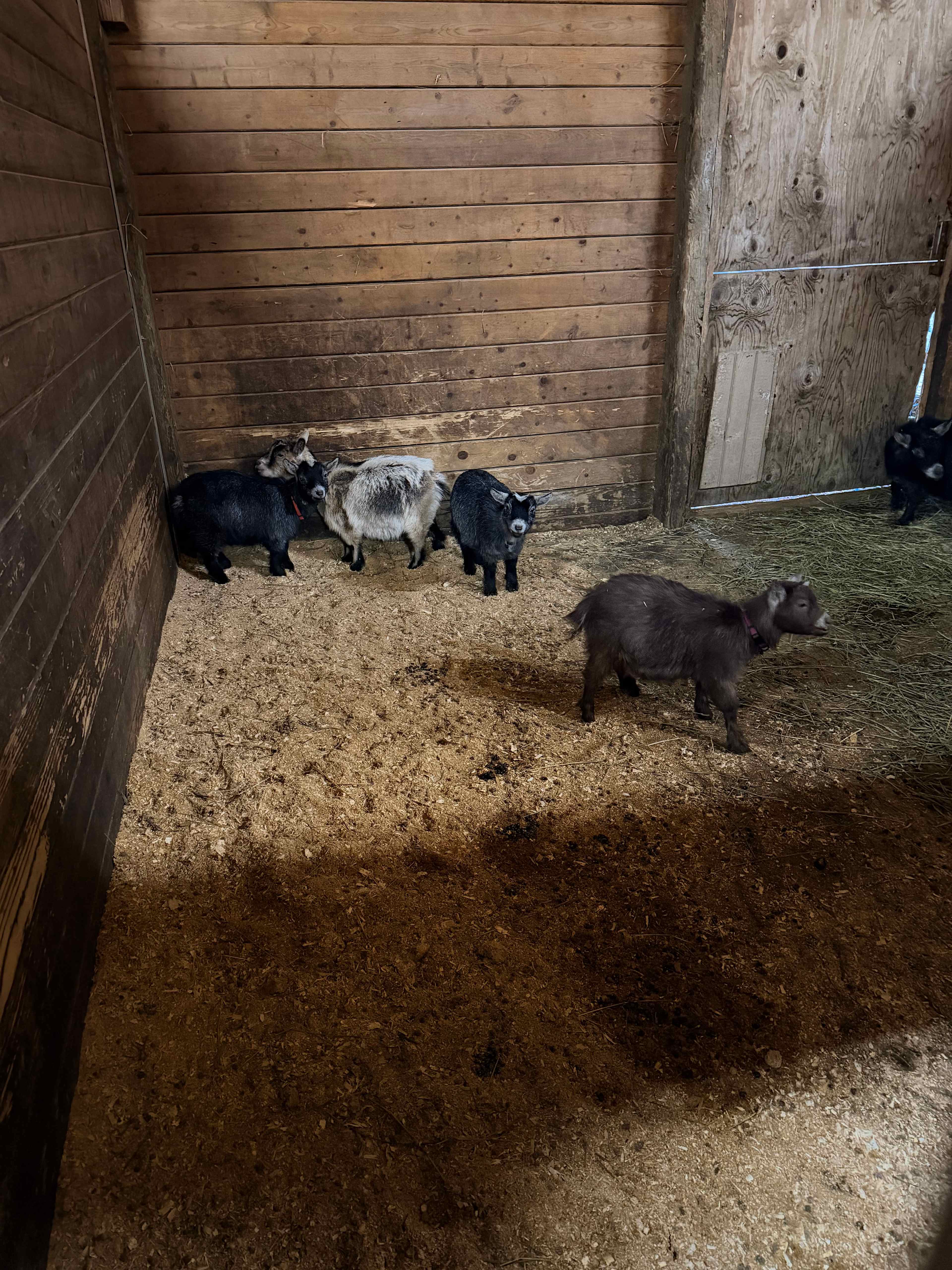 Wildbrook, a Travelers Reprieve