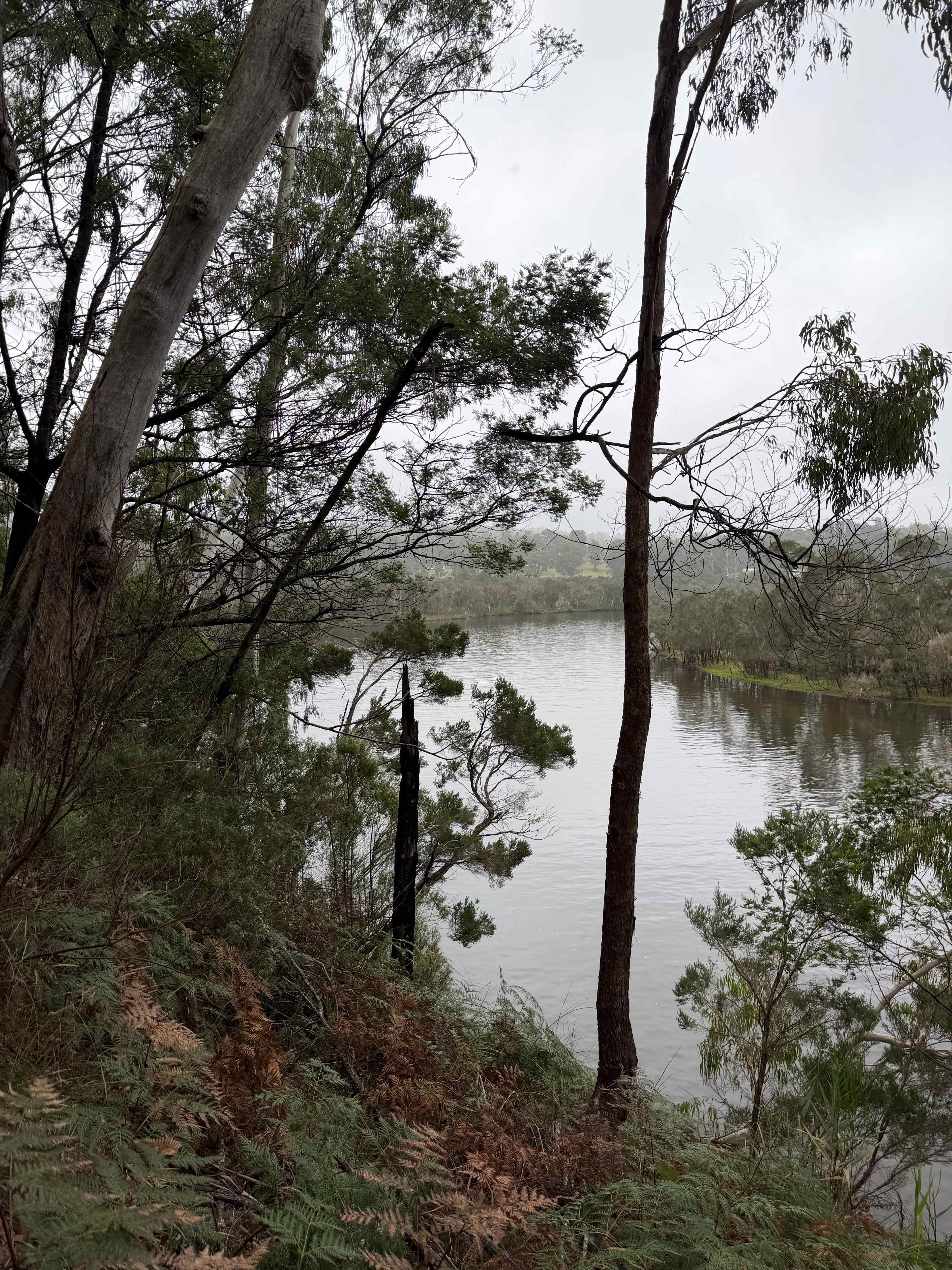 Nowa Nowa Lakeside Farmlet.