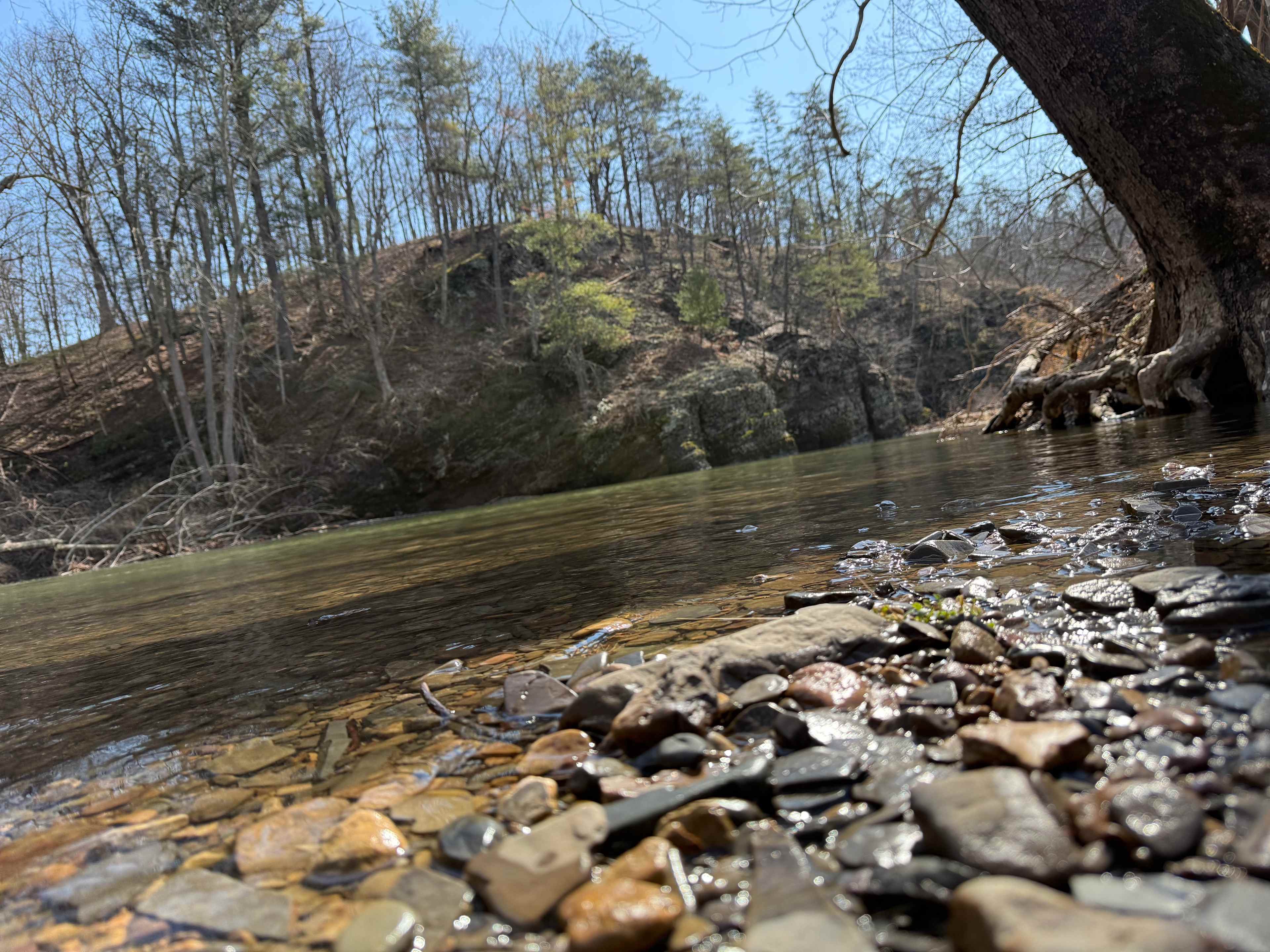 Zeke's Town Creek Retreat-Swim/Fish