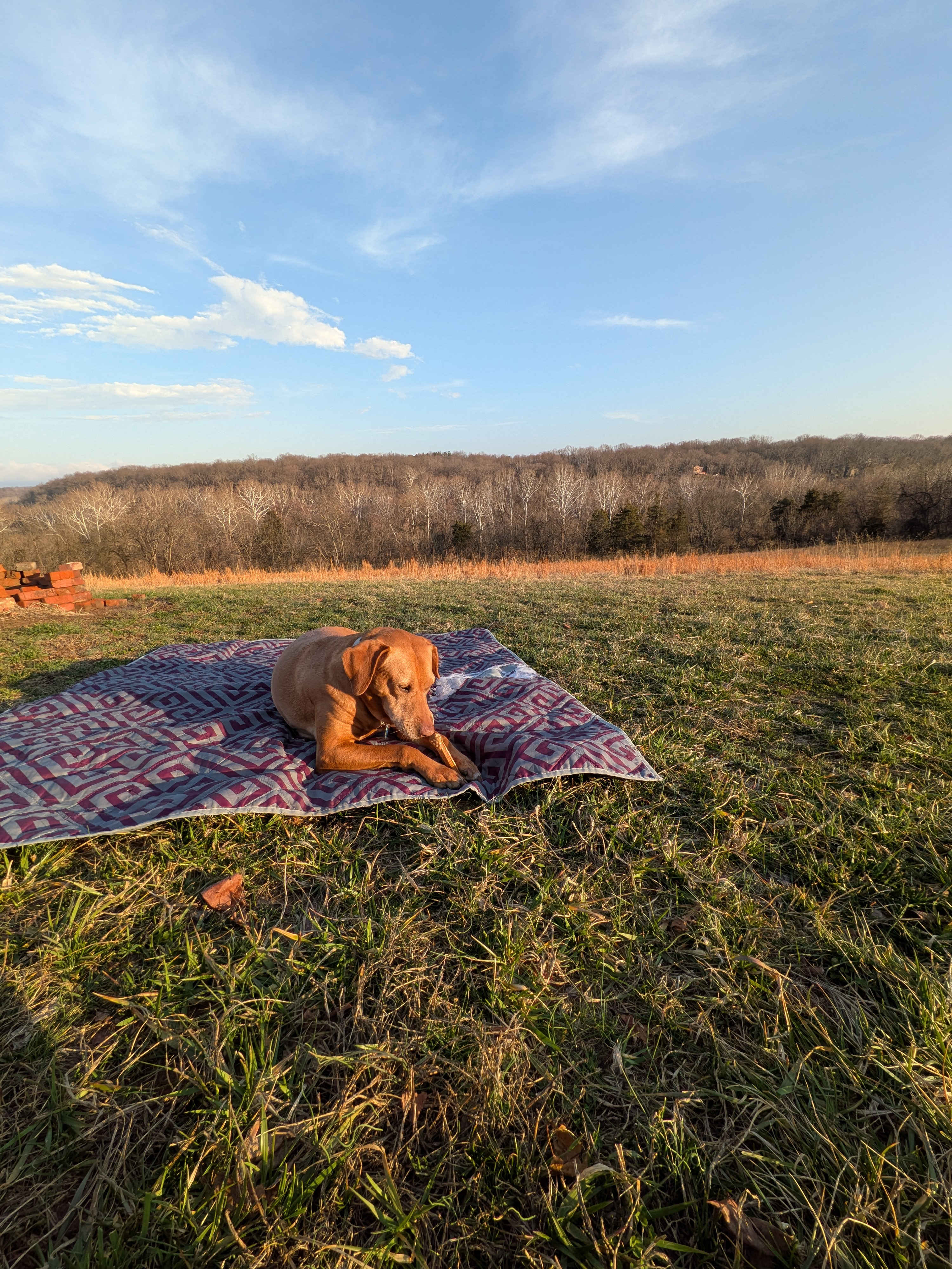Taylors Landing Camping Club