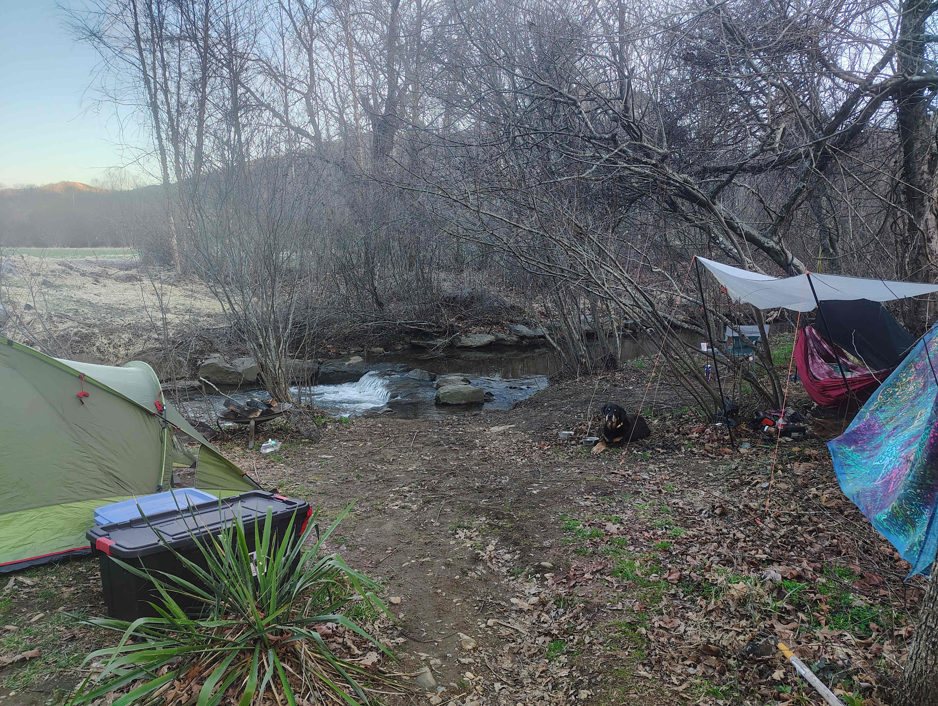Green Heart Medicinal Herb Farm
