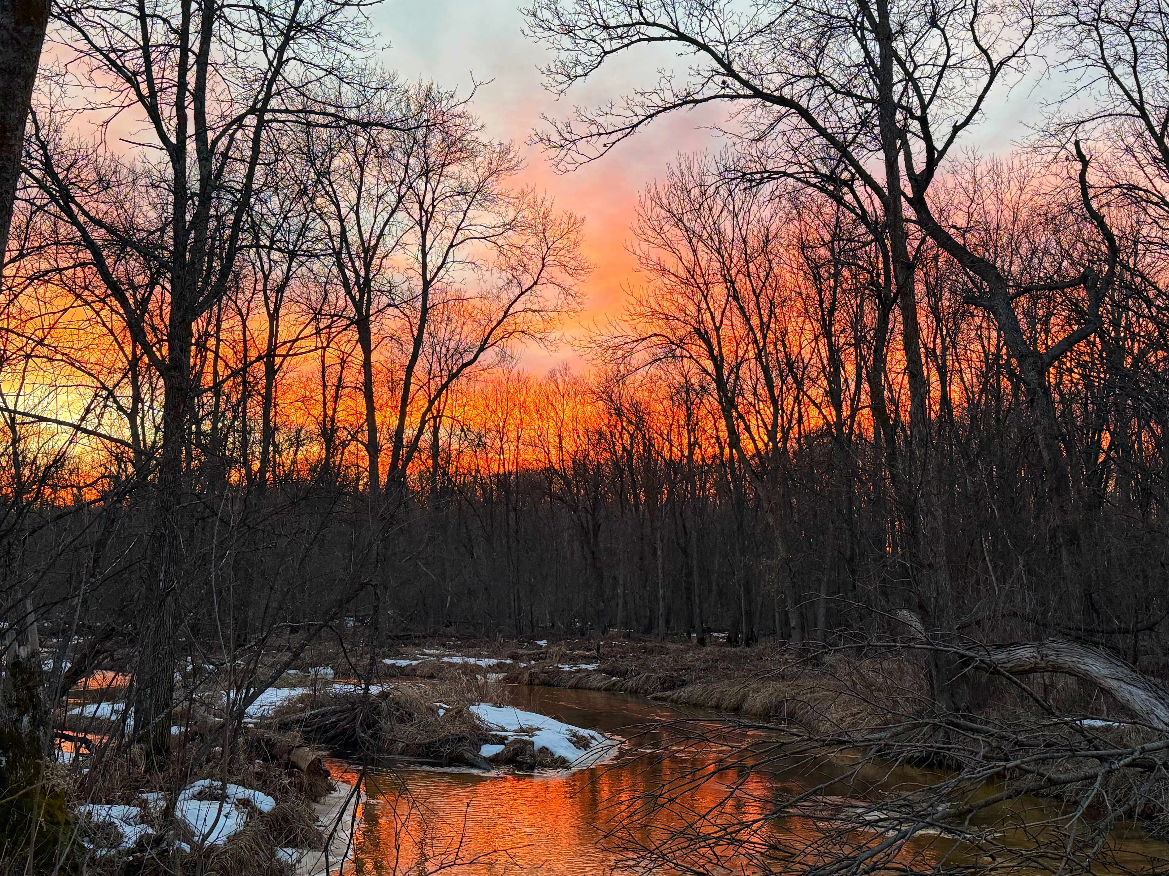 The Camps at the Vineyards
