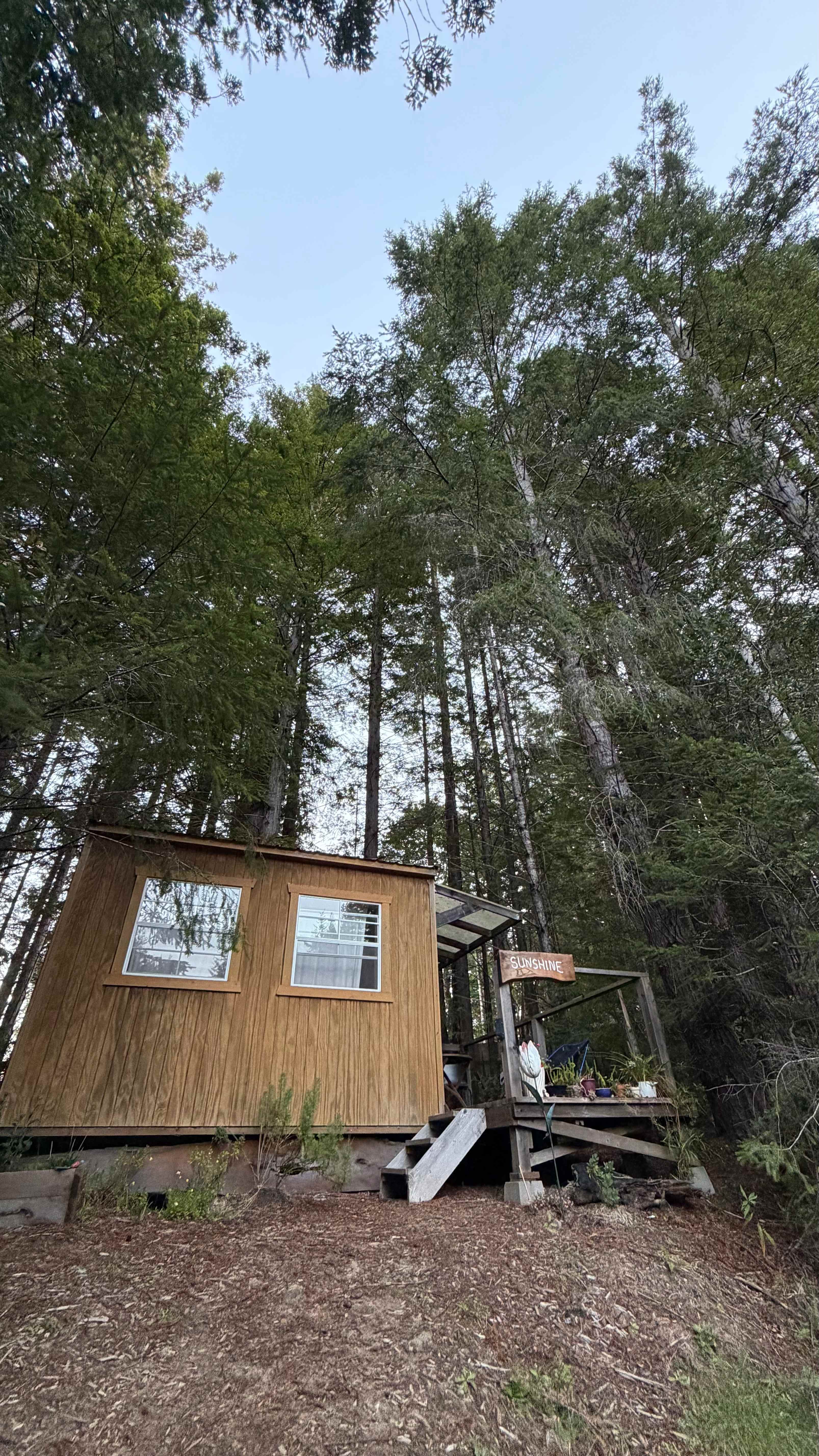 Baby Banana Slug Farm