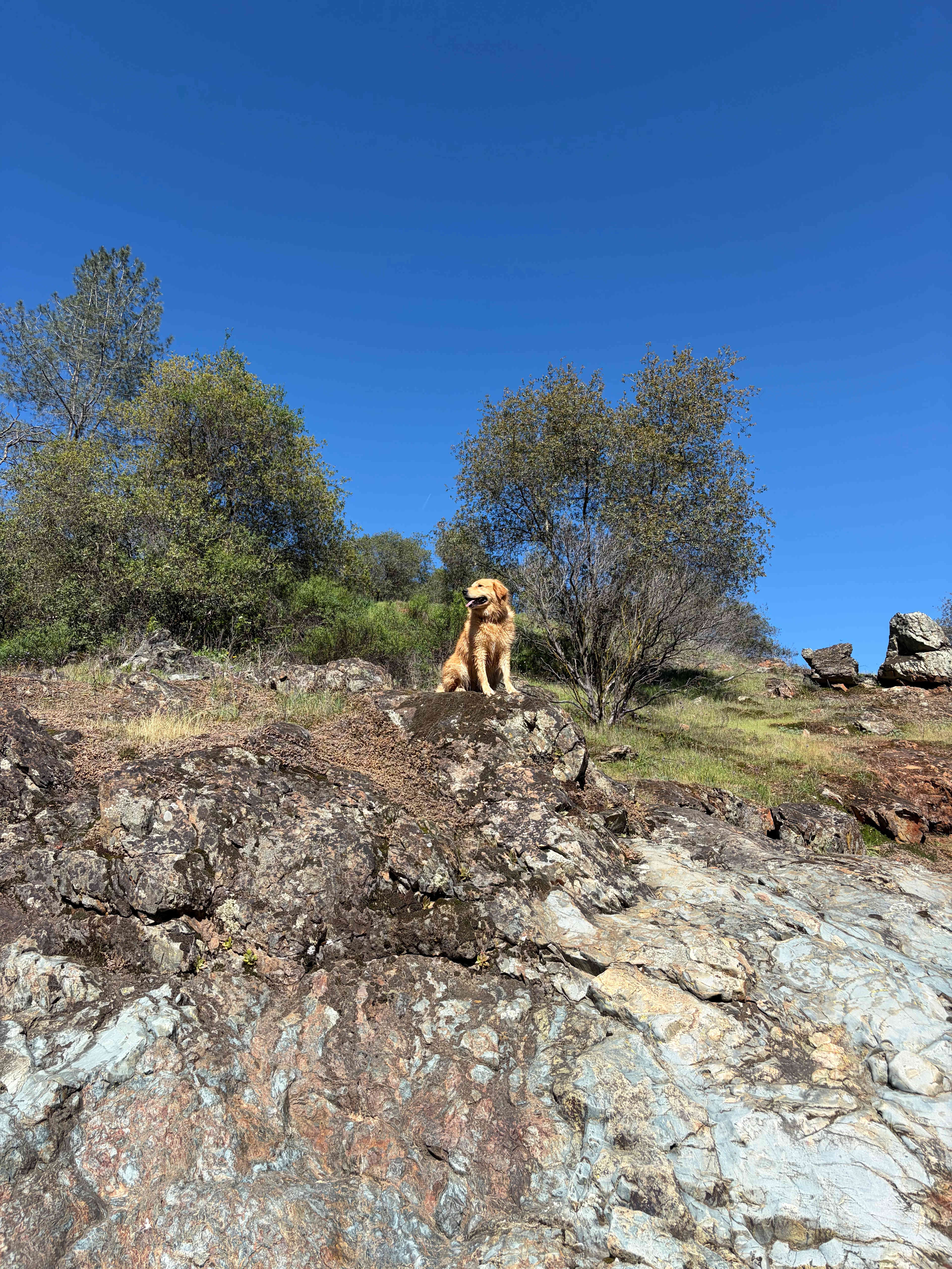 Perfect Getaway with Private Creeks