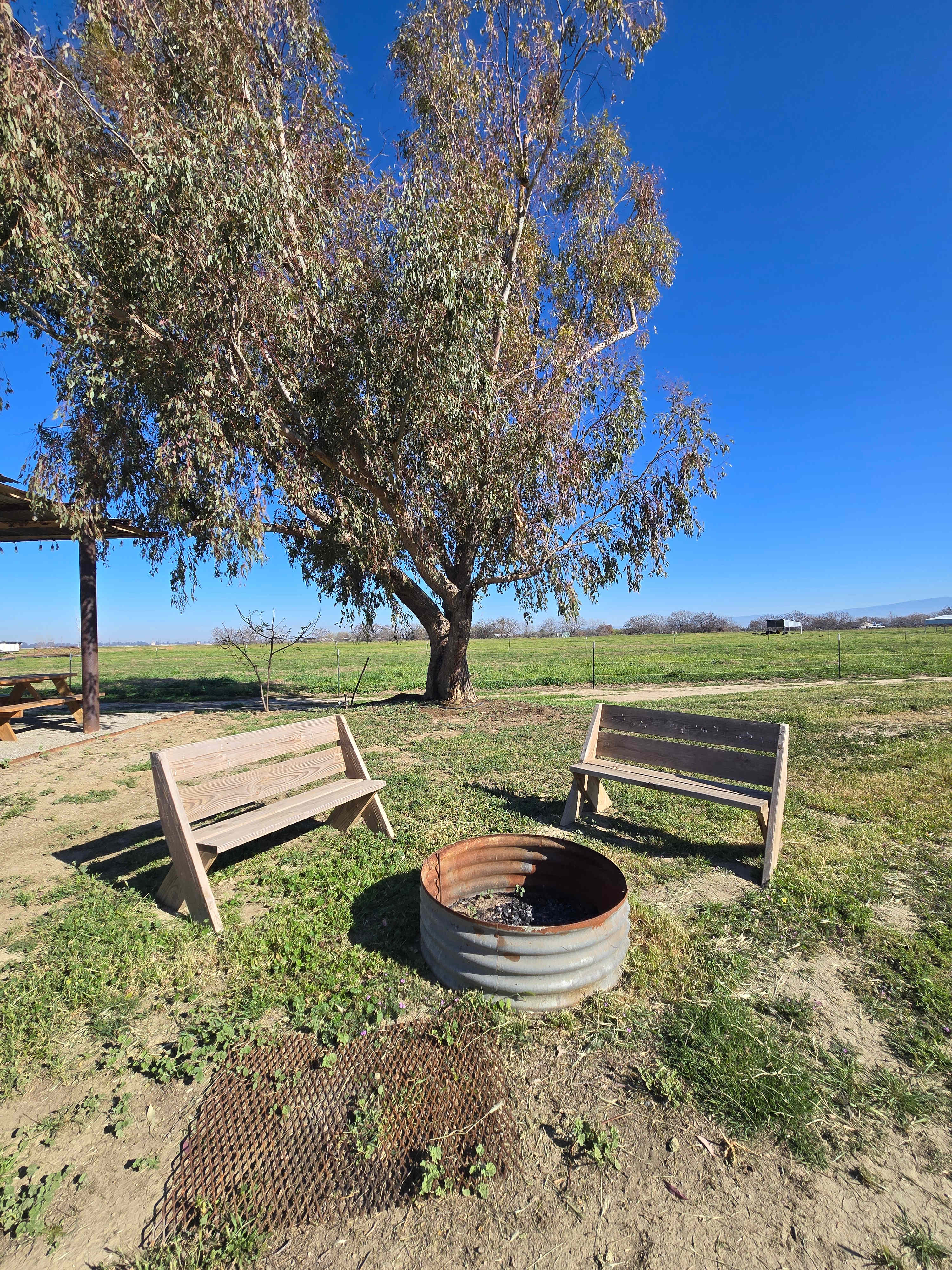 Bakersfield Farm Animals & Pond