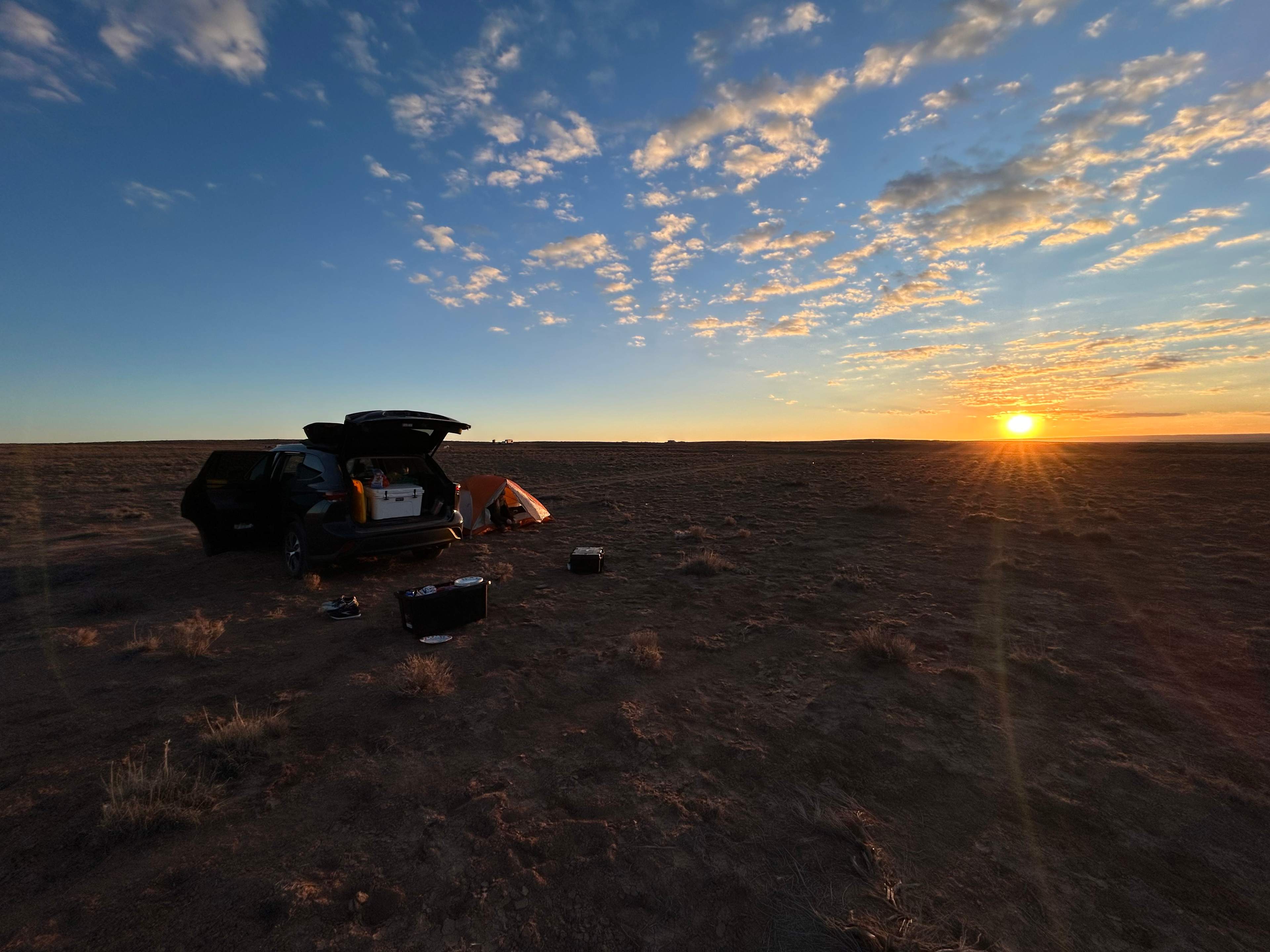 Petrified Forest Hideaway