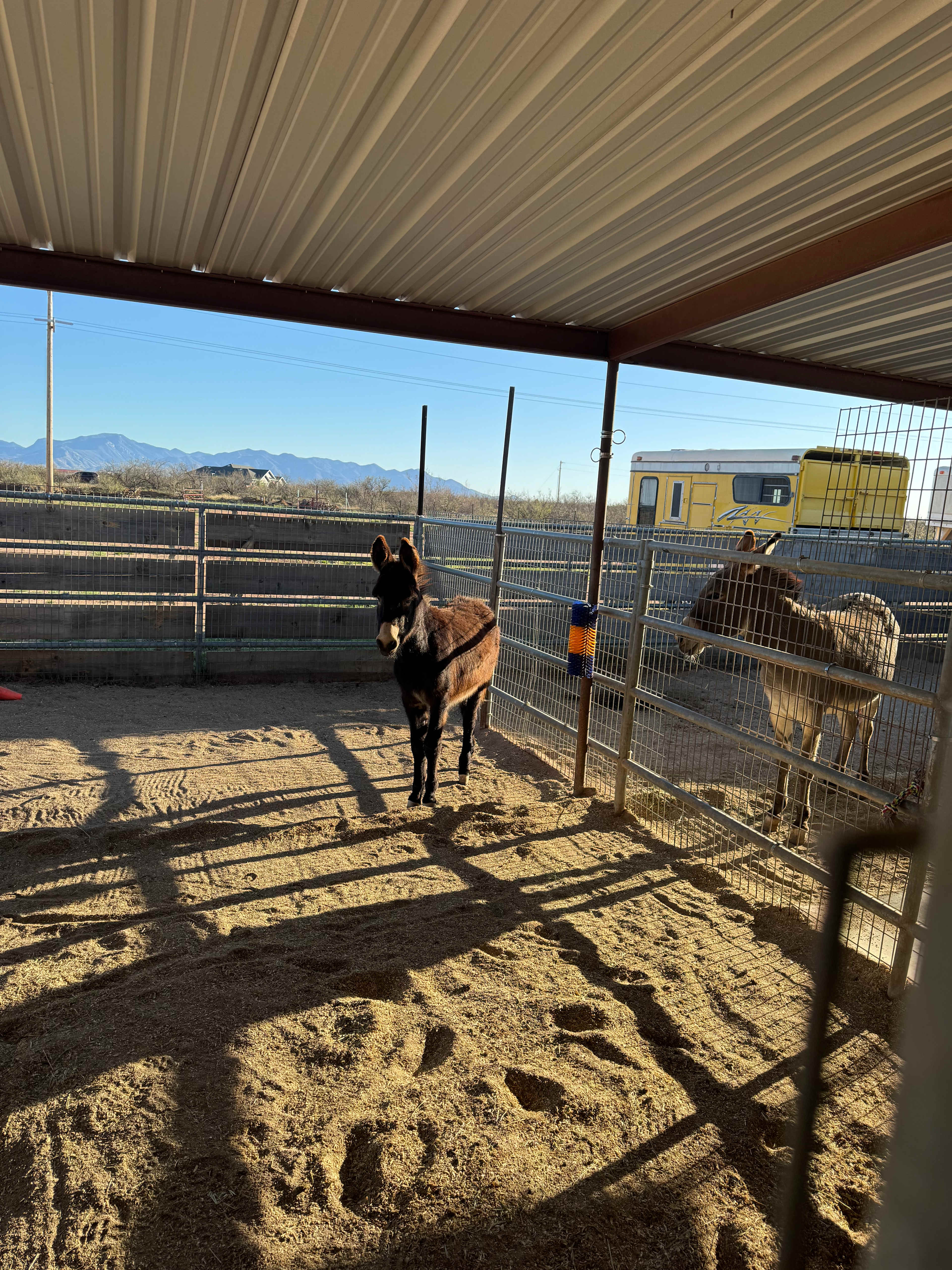 Karla's Hummingbird Guest Ranch