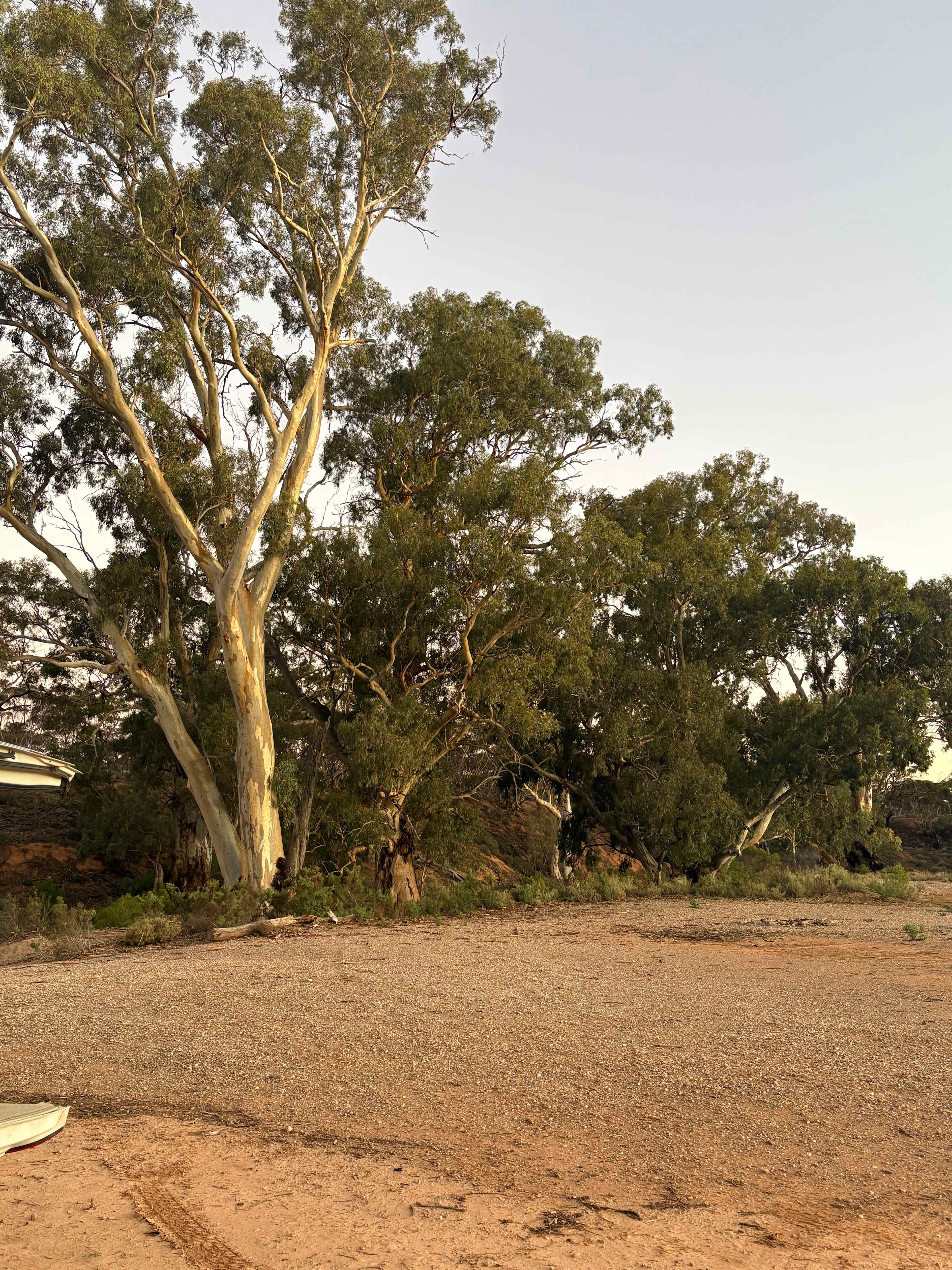 Burra Creek Camping
