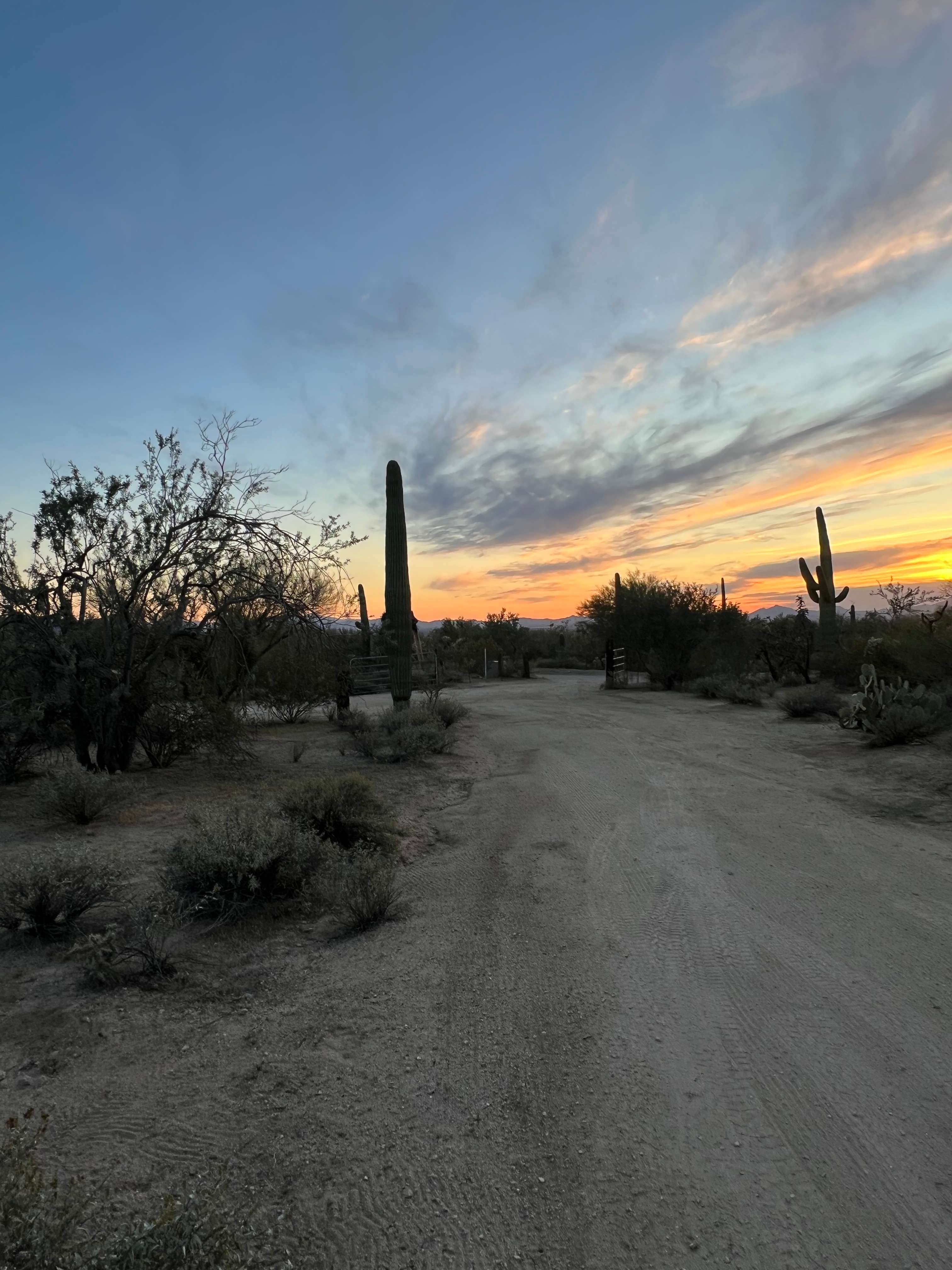 Wild Burro Desert Retreat