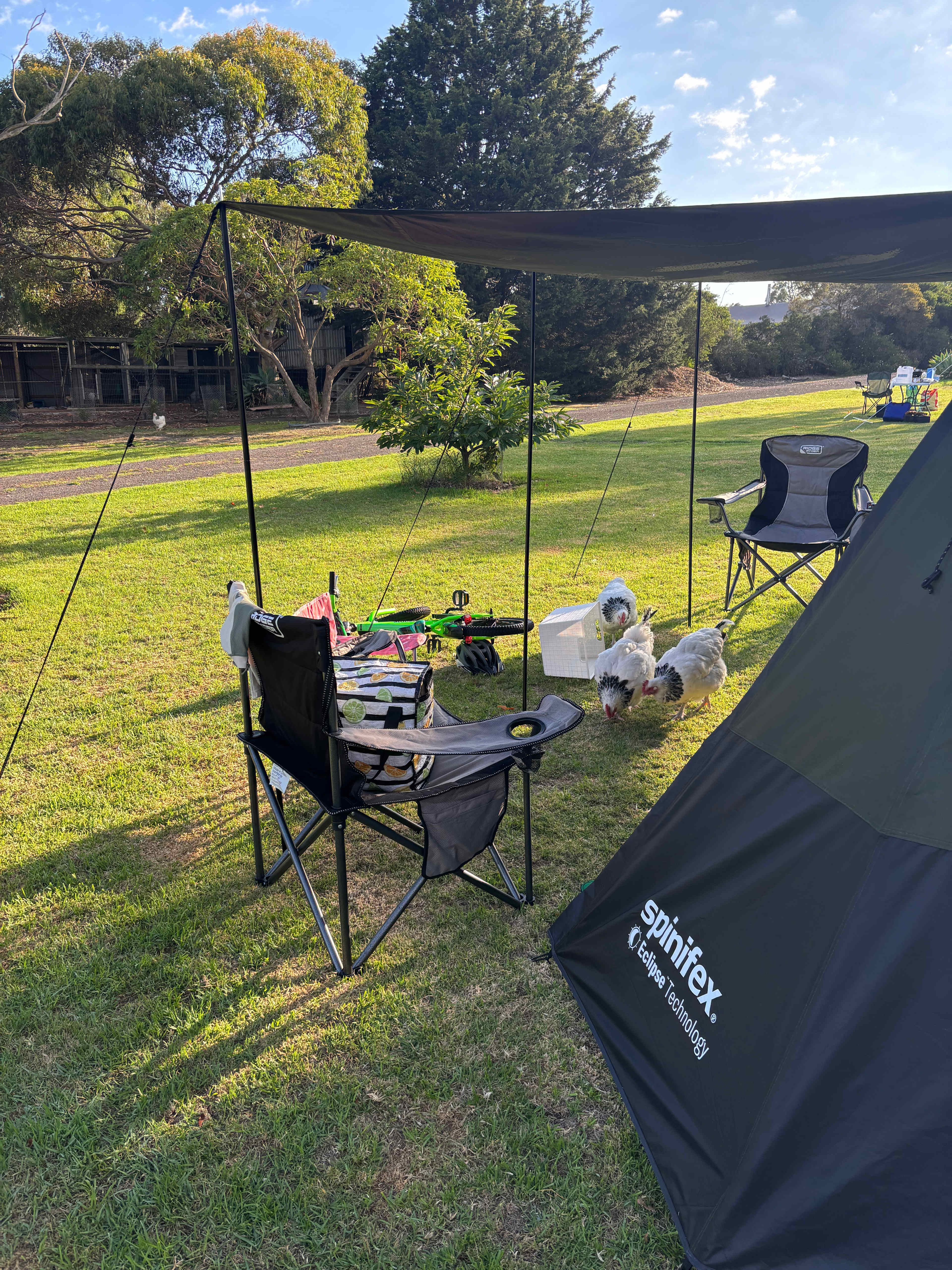 Swan Bay Road Wallington