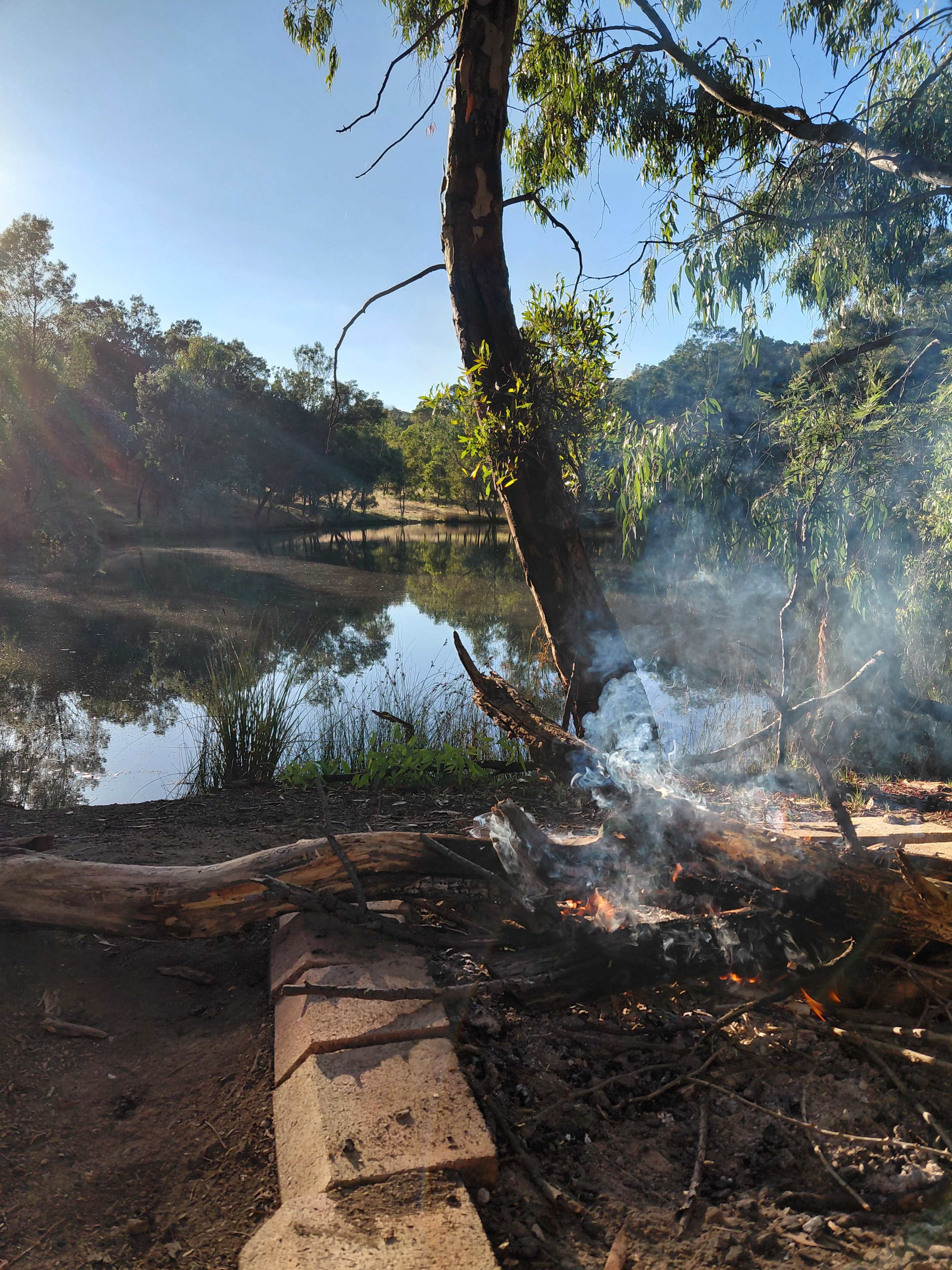 Reedy Creek Camping