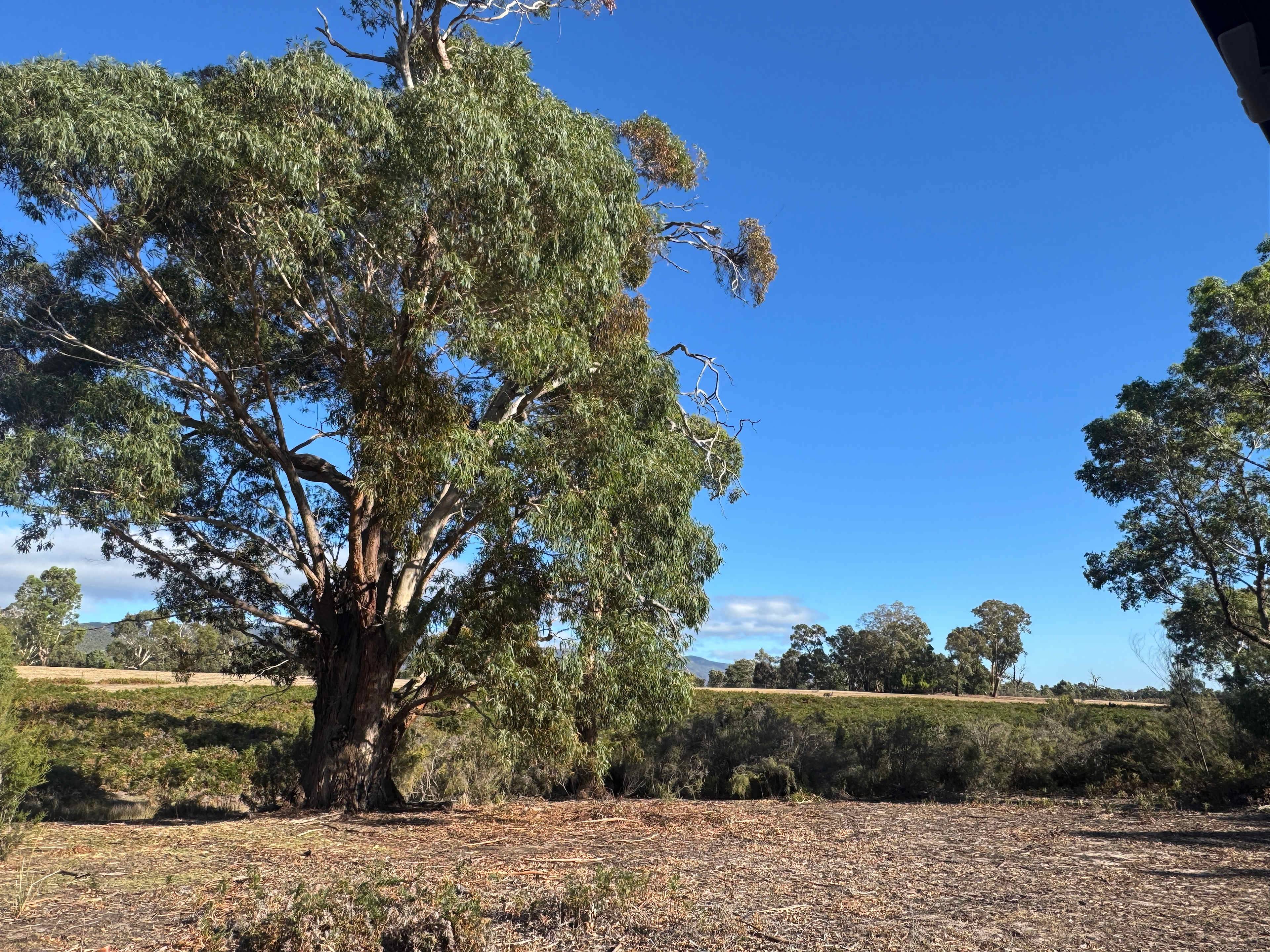 Grampians Old Man Emu Stay