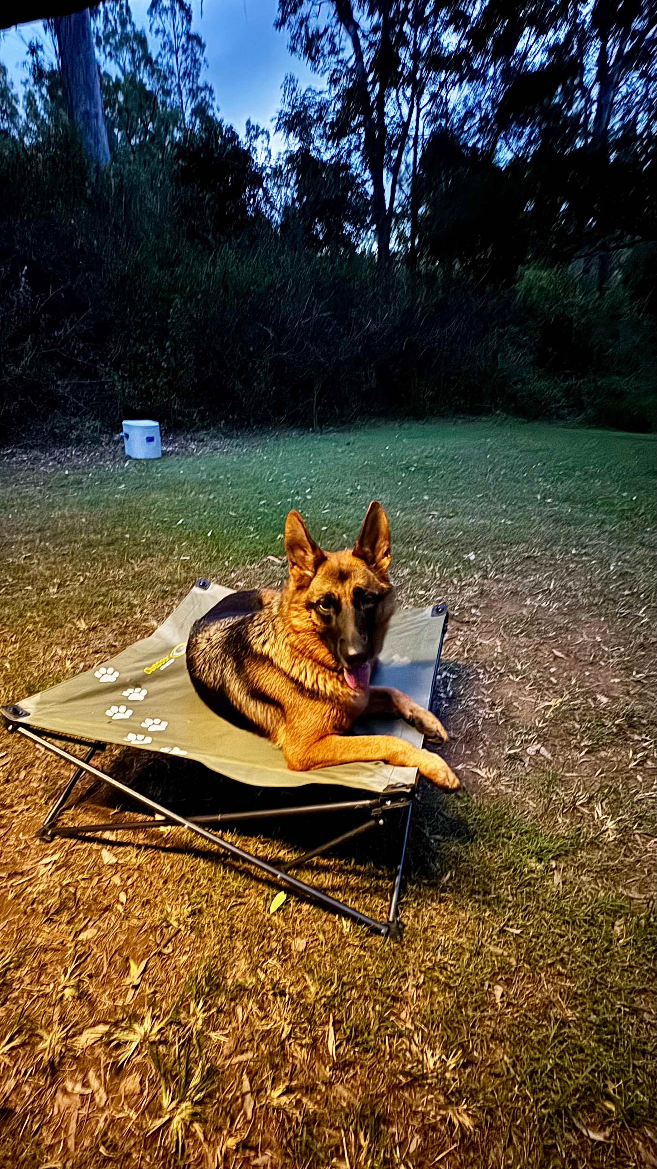 Matilda settles down for the night